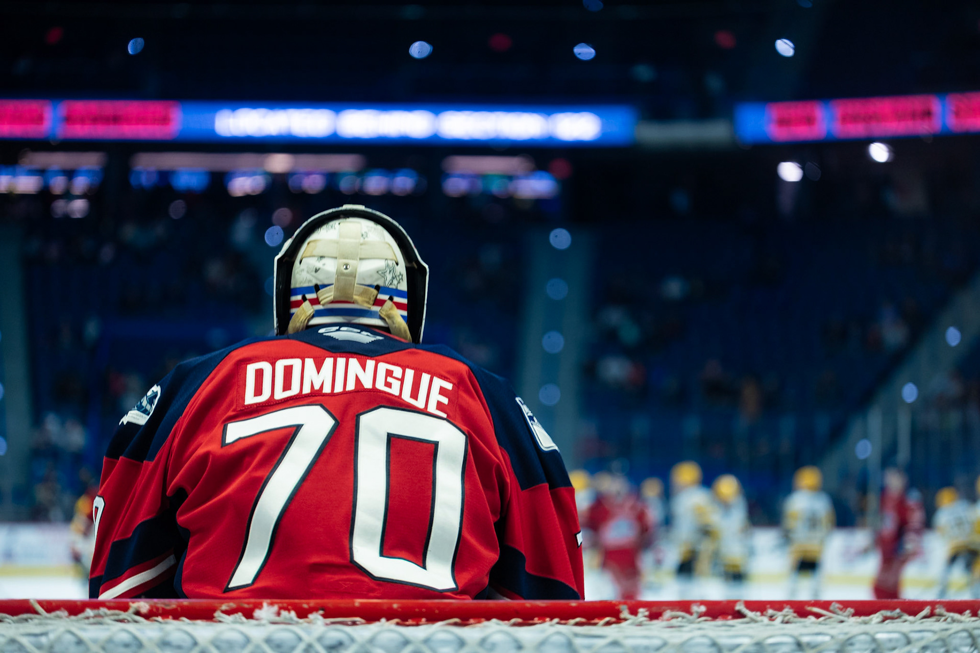 LOUIS DOMINGUE
