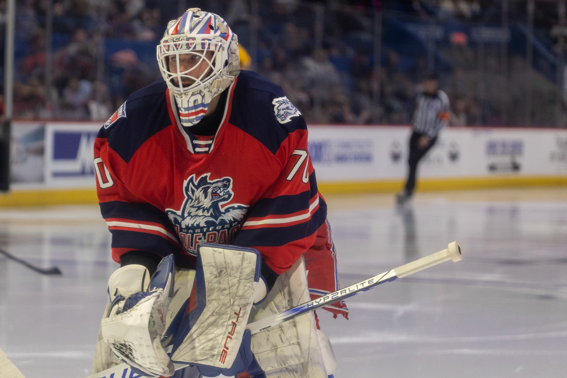 LOUIS DOMINGUE