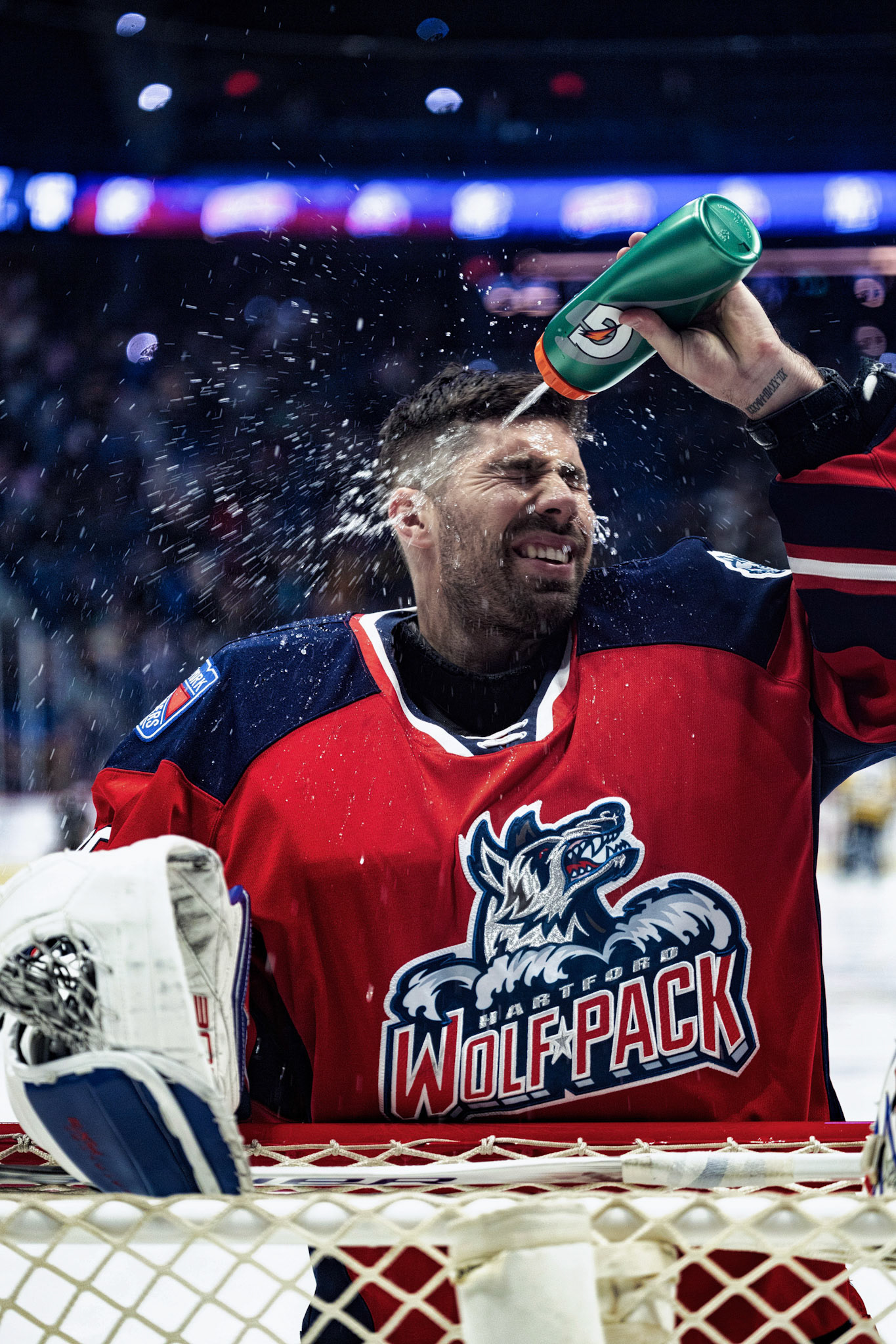 LOUIS DOMINGUE