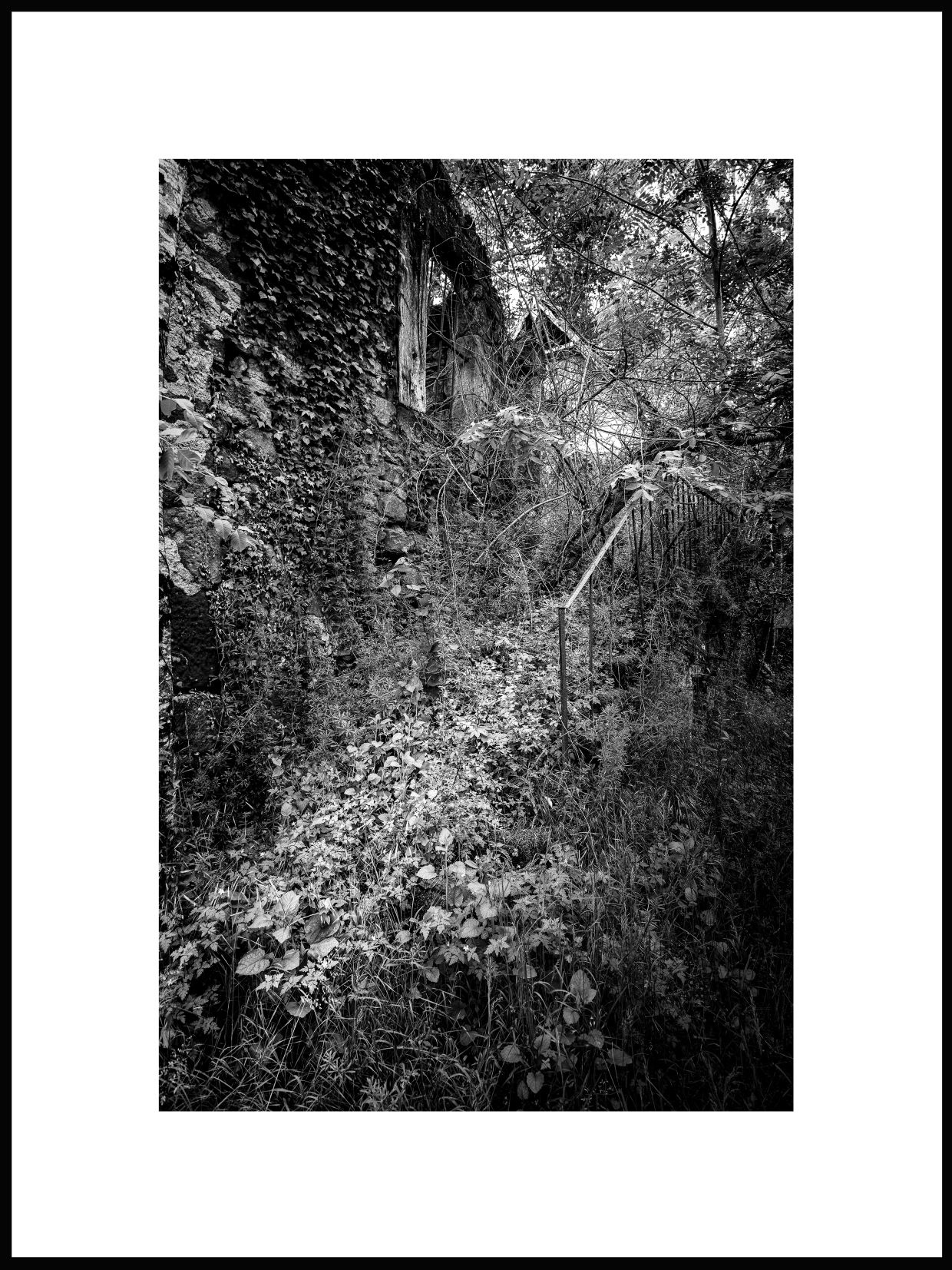 Submersion 14