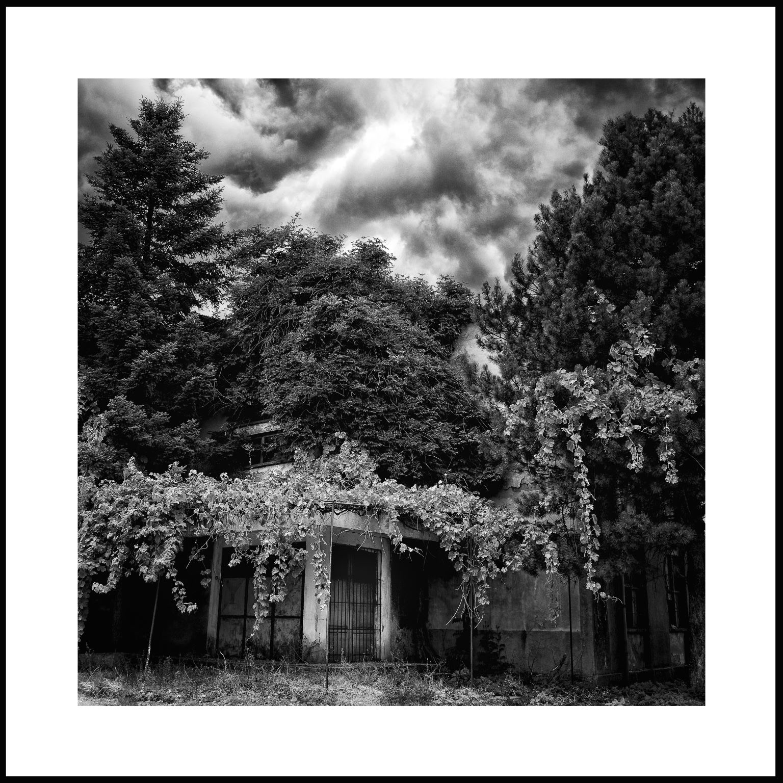 Submersion 26