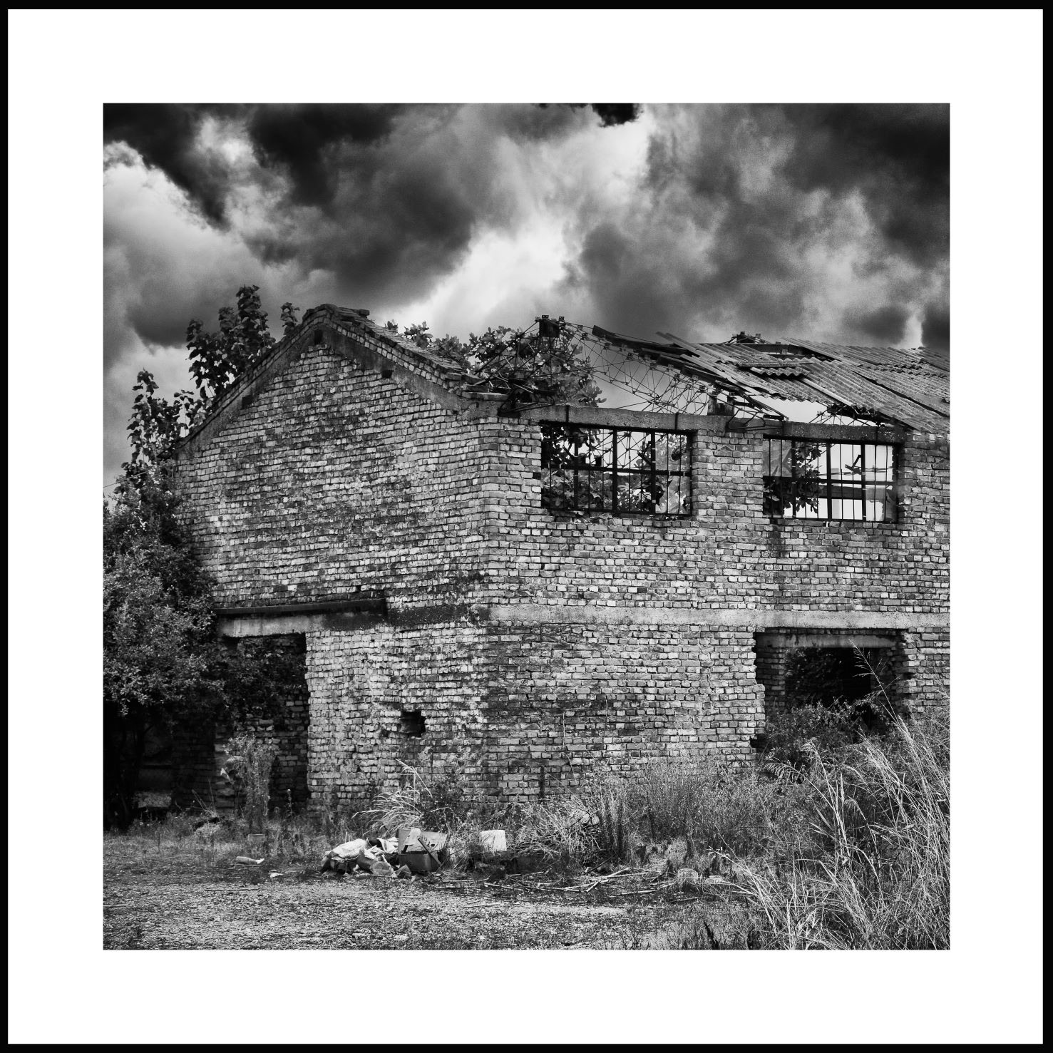 Submersion 24