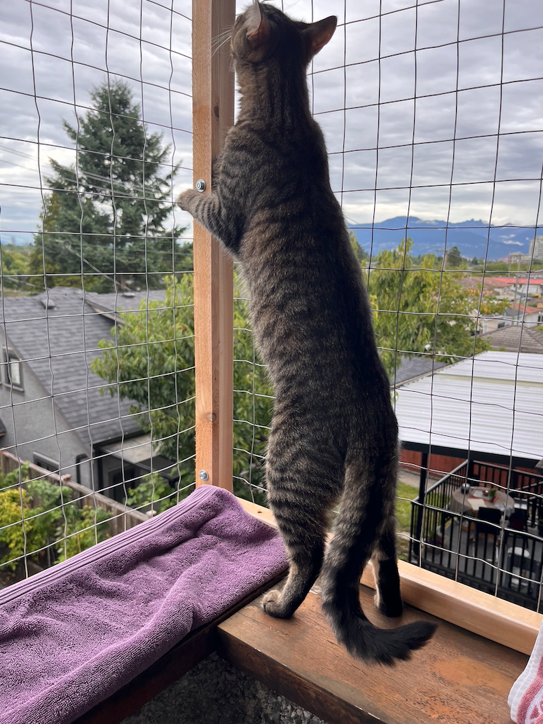 What's up here?