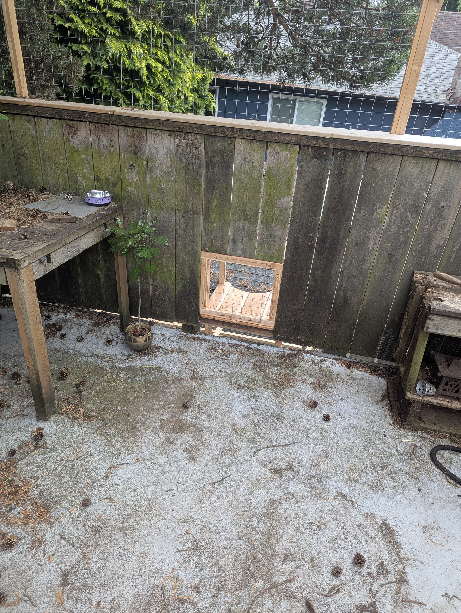 The Pugnacity Portal.