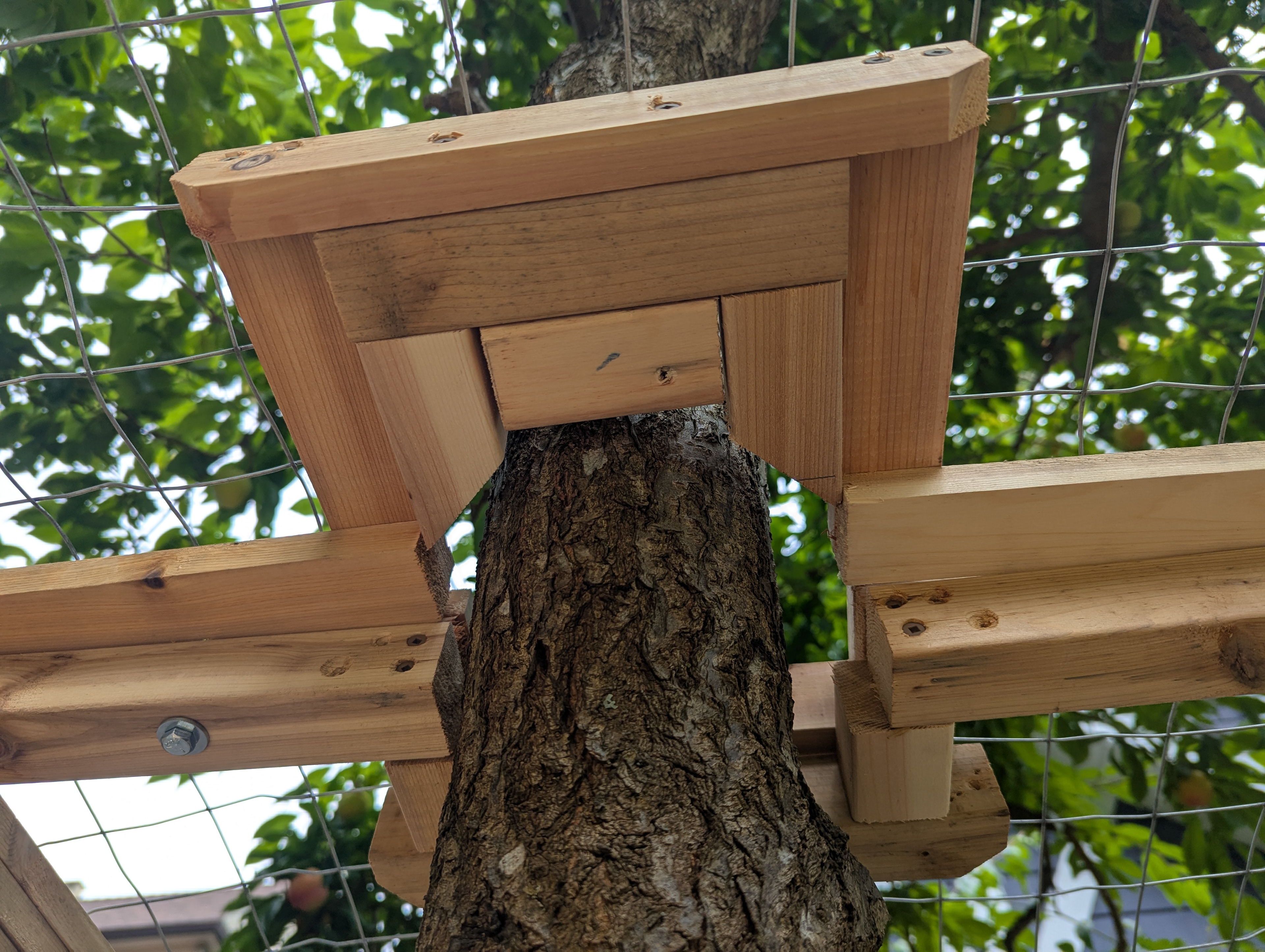 Blocking added with the idea of giving the tree a chance to grow.