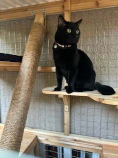 Yes. Yes, this is pretty good.