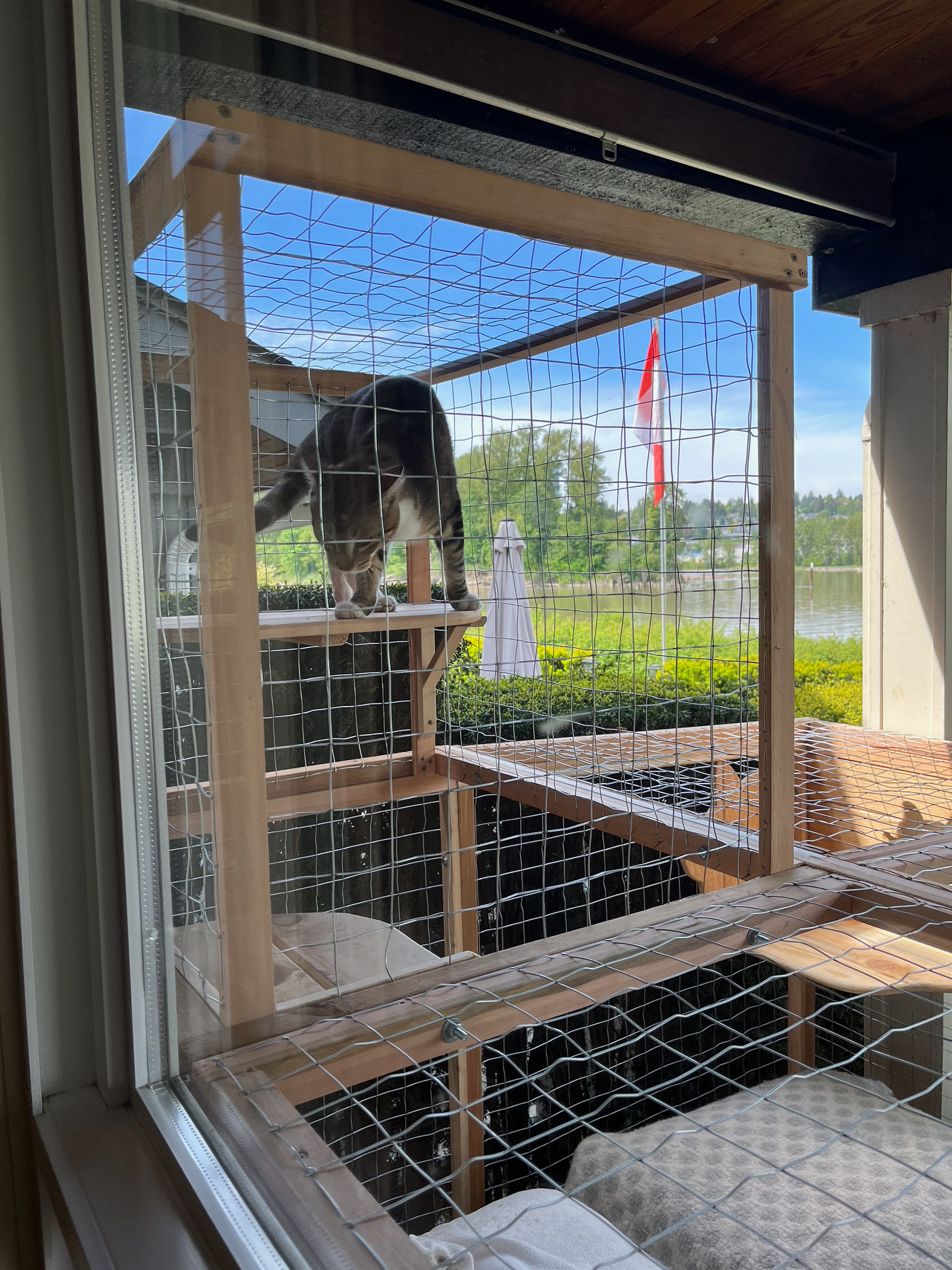 Sebastian understood the observation dome with no prompting.