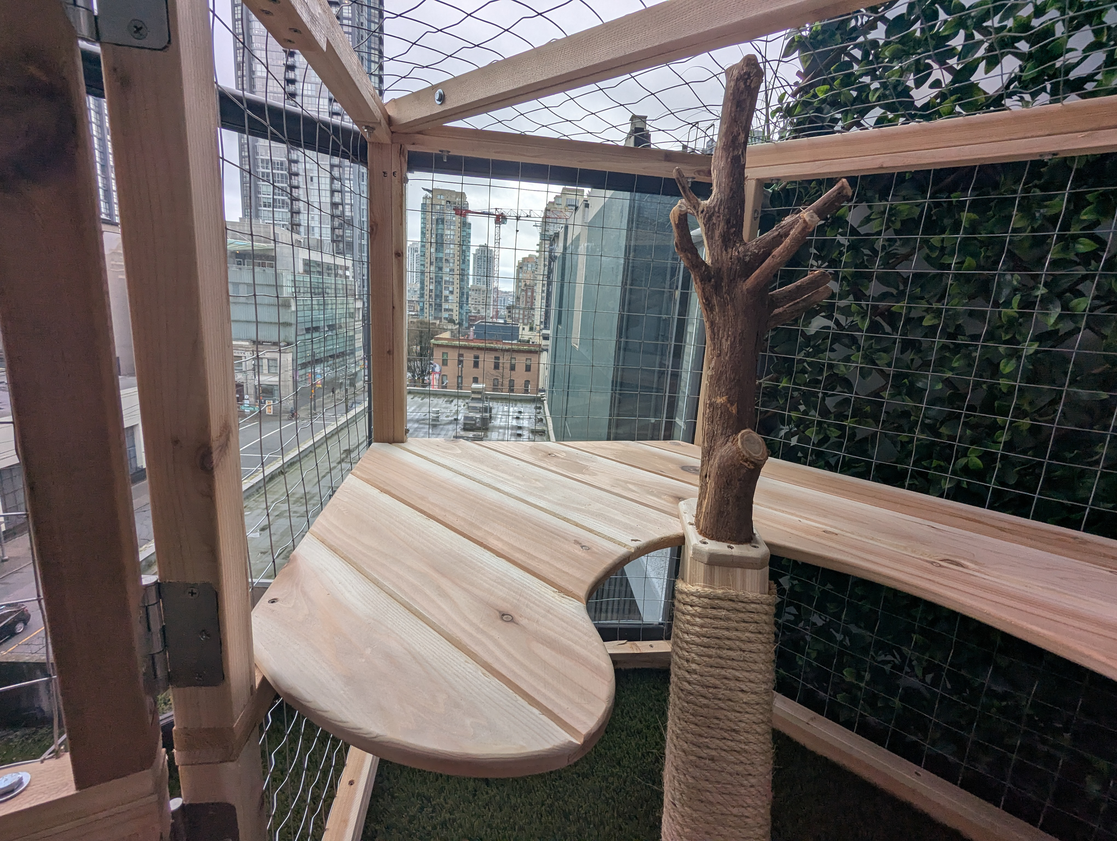 Despite the short profiles, the catio commands quite a view.