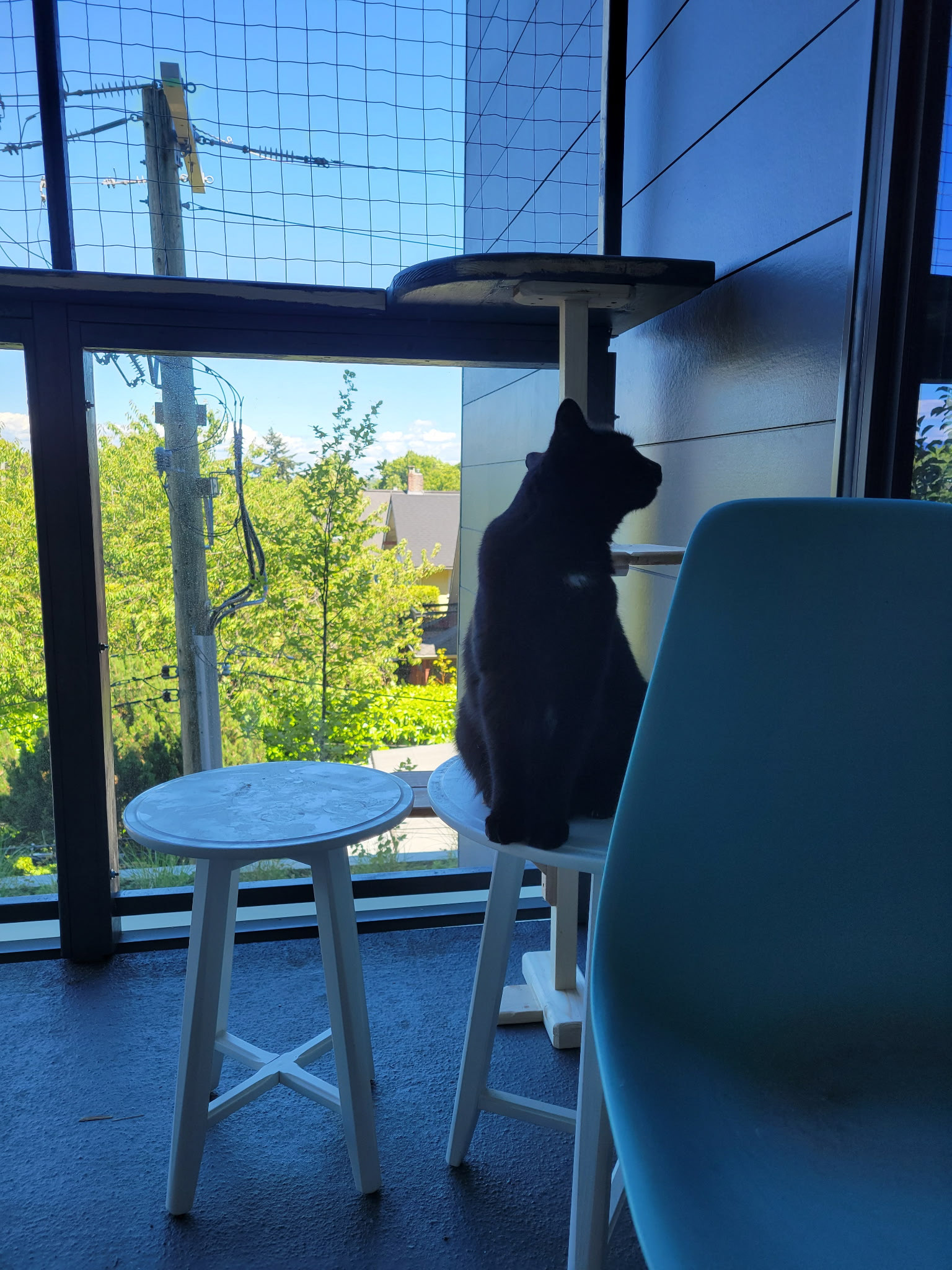 How do I get up there?