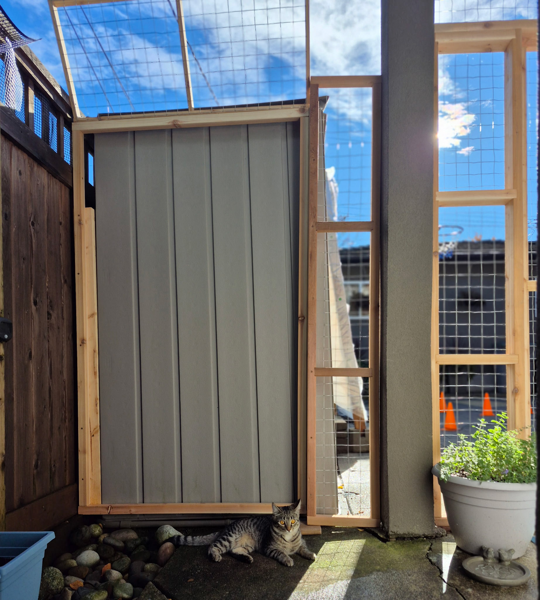 ...and the end bit, by the shed.