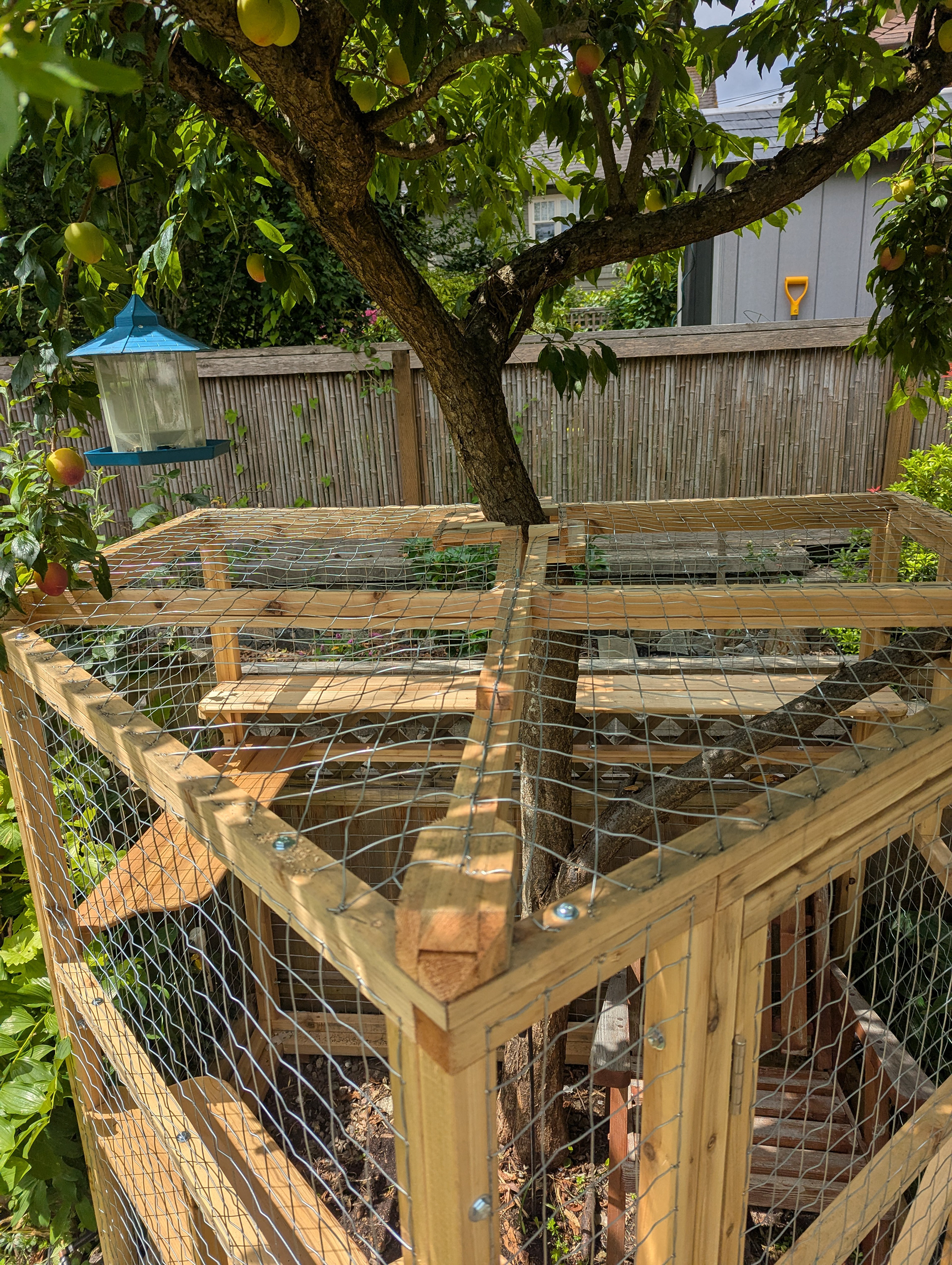 Mission accomplished to contain both cat and tree. 