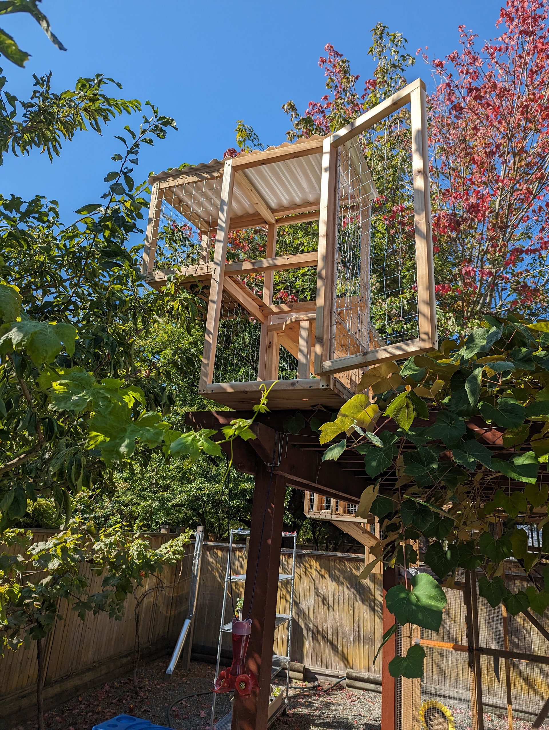 It's important to include extra access points in case anyone has trouble, as well as for cleaning out leaves and such.