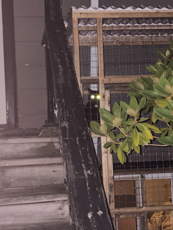 With some catios a laser security system is included at no extra charge..