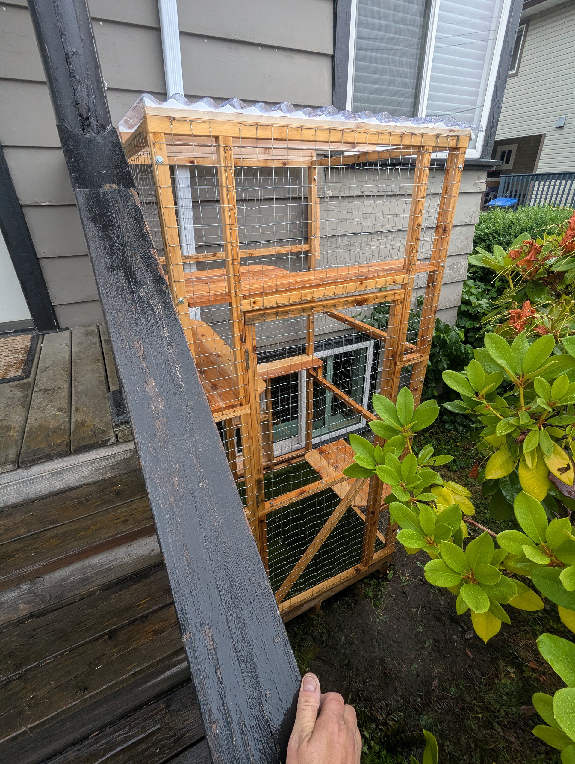 The kitties get to feel like they're in the jungle, but they also get some high vantage points.