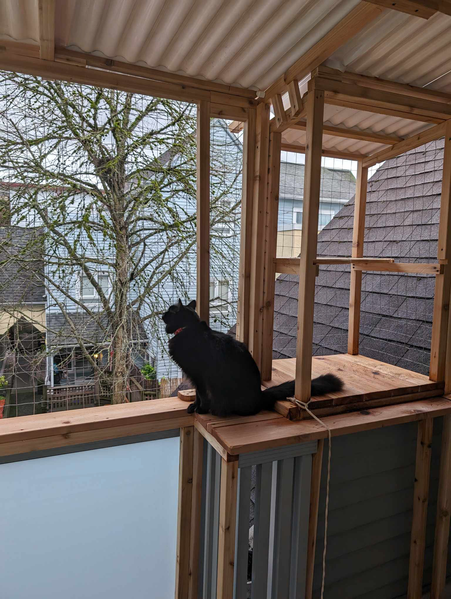 ek-ek-ek-ek-ek means BIRDS!