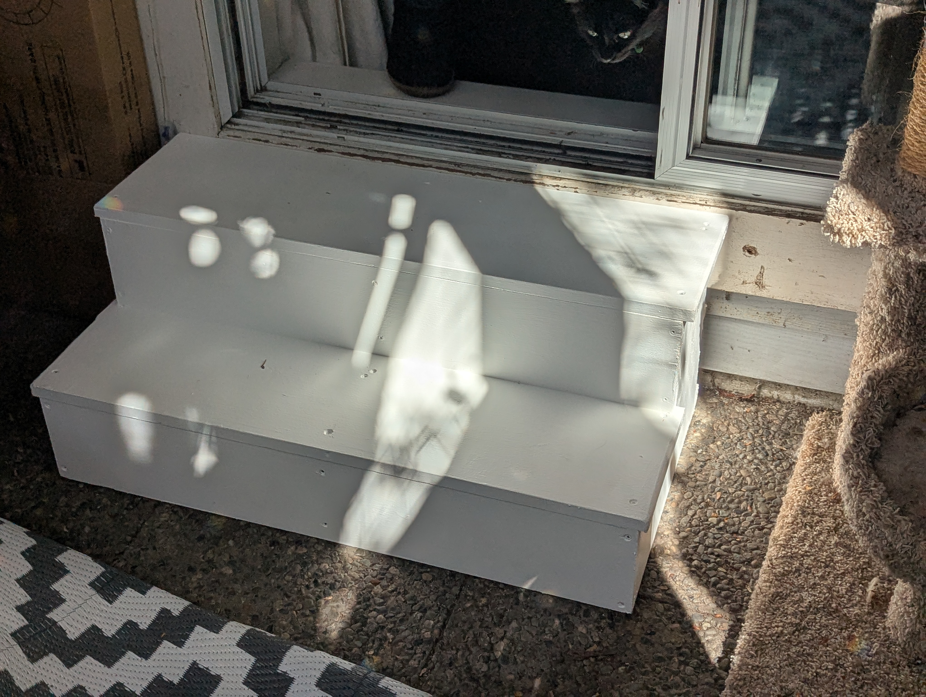 After the fact, the humans wanted to feel a bit safer in the catio so I was able to help them out with some steps.