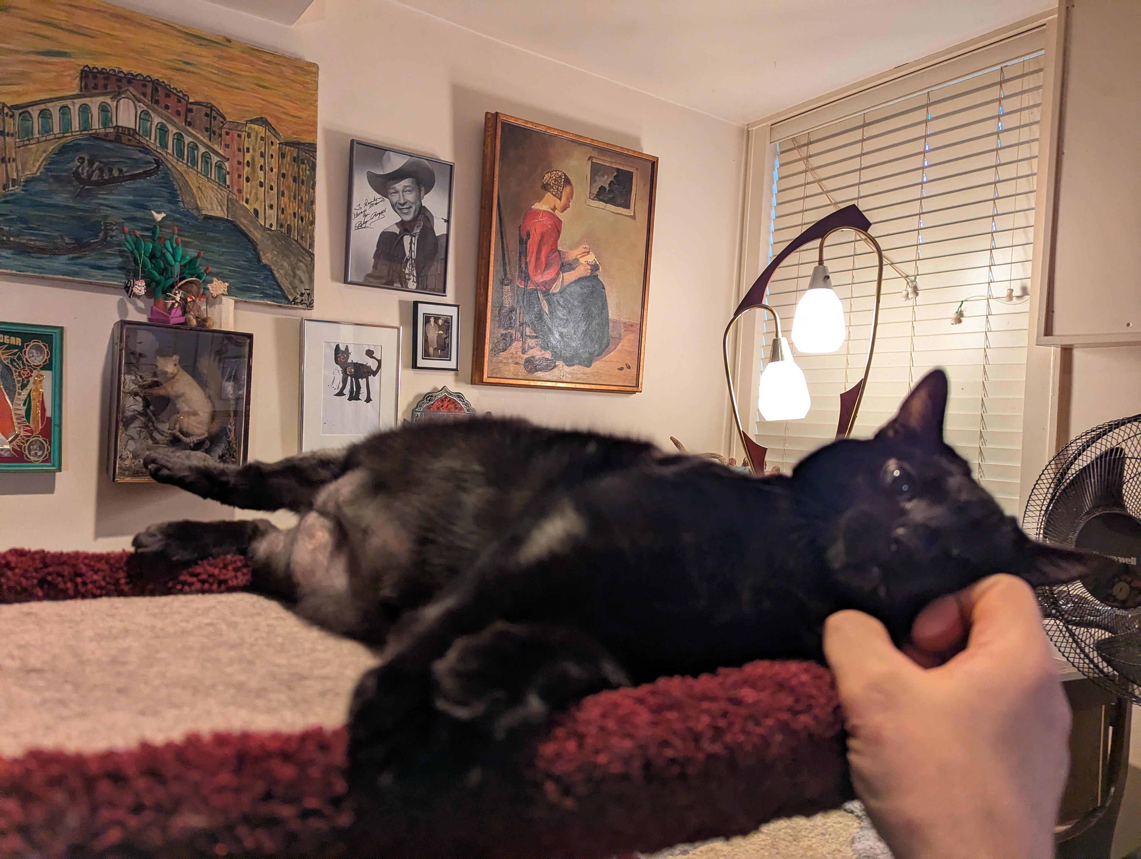 One of Crick's project requirements was skritches.