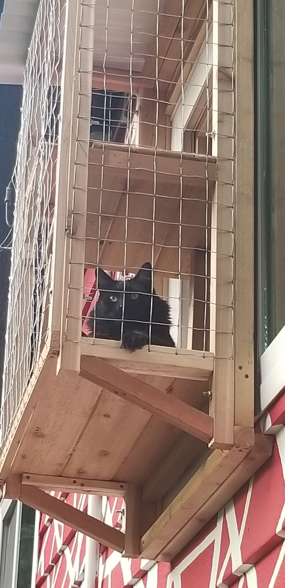 Ronnie found the new space before I even got home from installing it. 