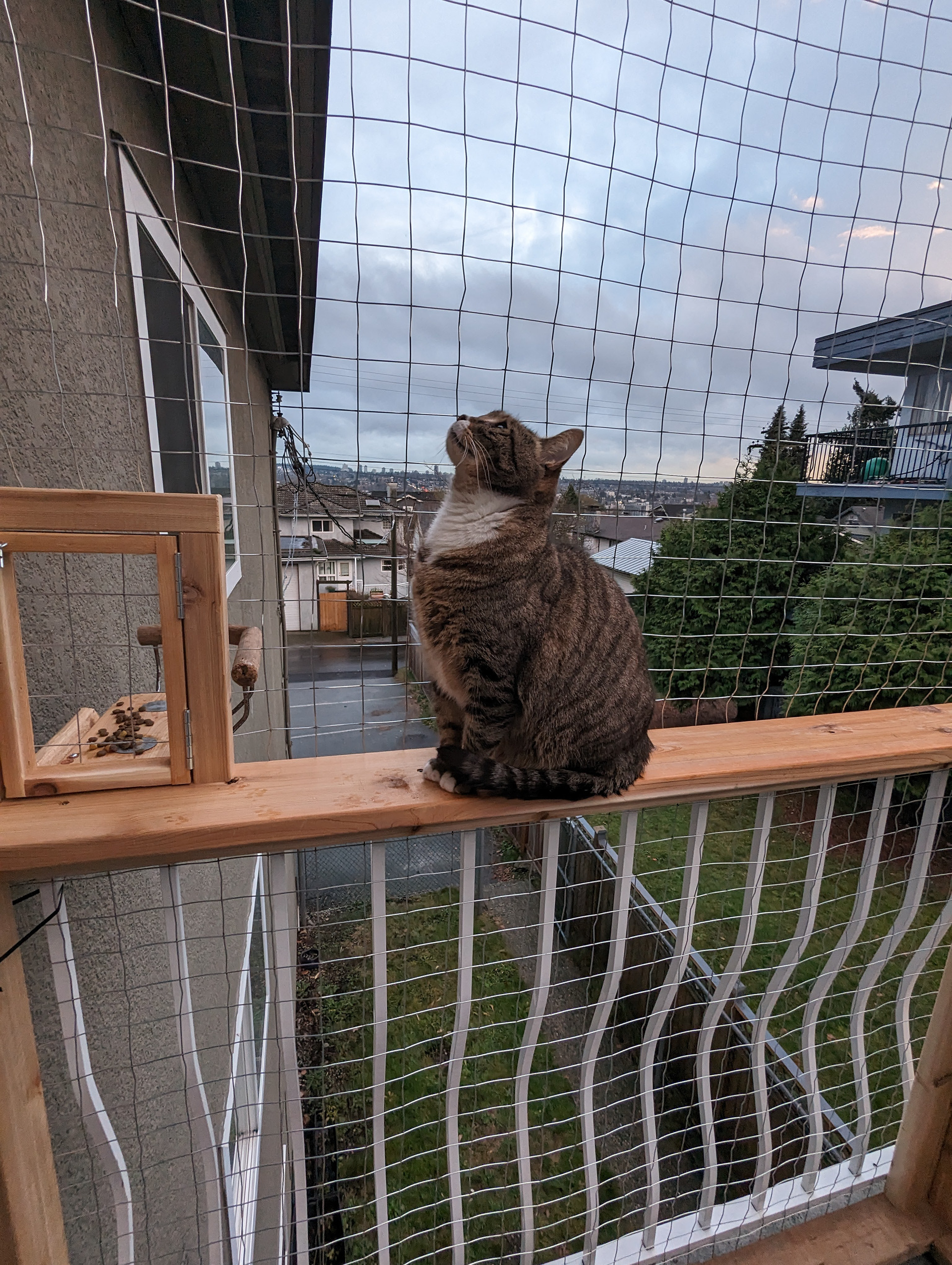 Zagreus awaits his feathered friend, a crow who visits the little feeding and perching platform built in on the left.