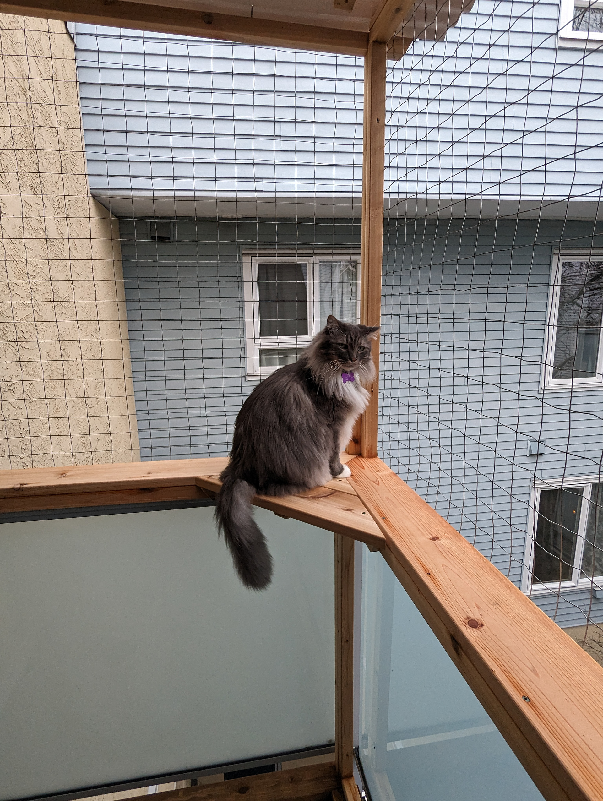 For real? I get to sit here?