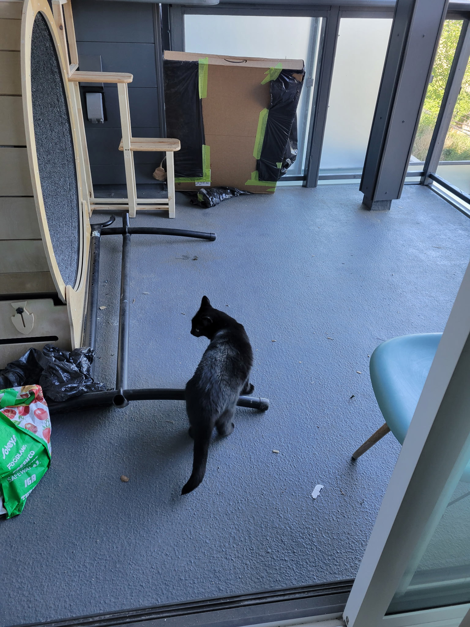 I'm allowed out here? I've never been allowed out here!