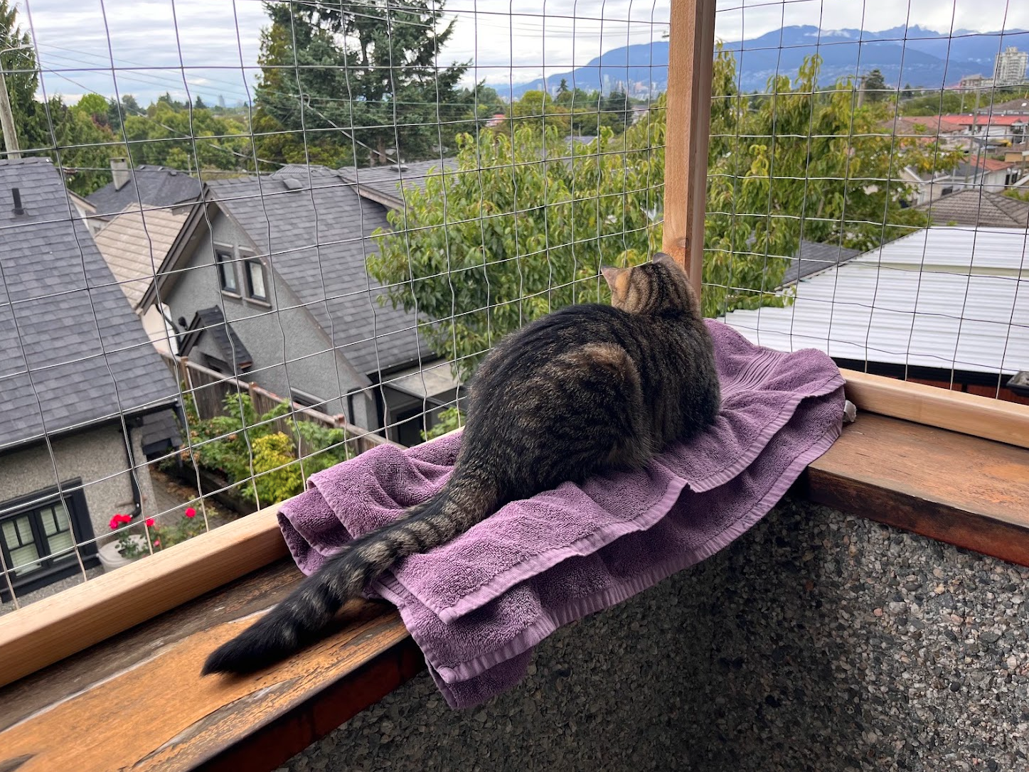 Oh, this is pretty cozy.