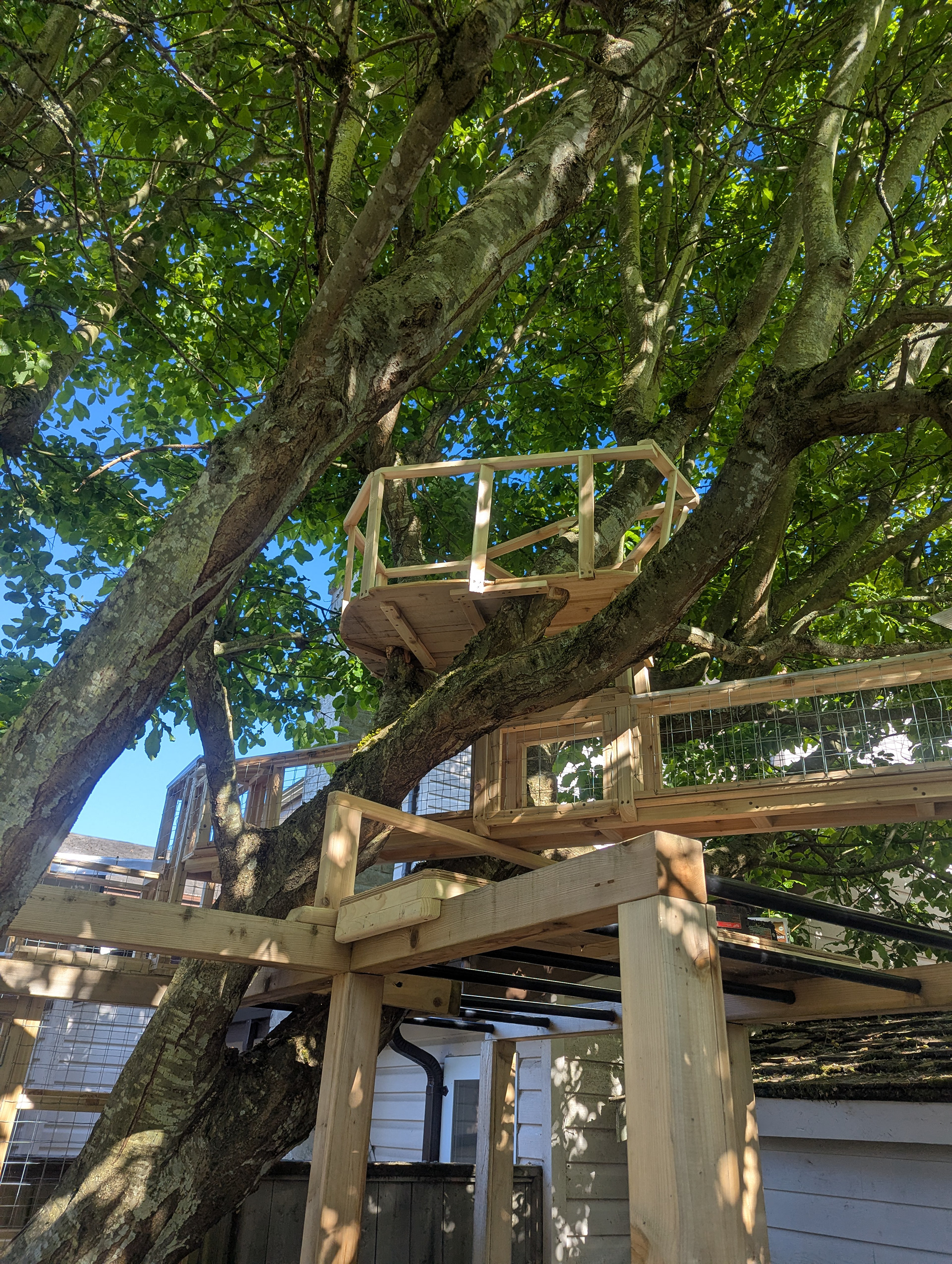 An amazing lookout! I'm not sure the clients appreciated me referring to it as 'Paco's Panopticon'.