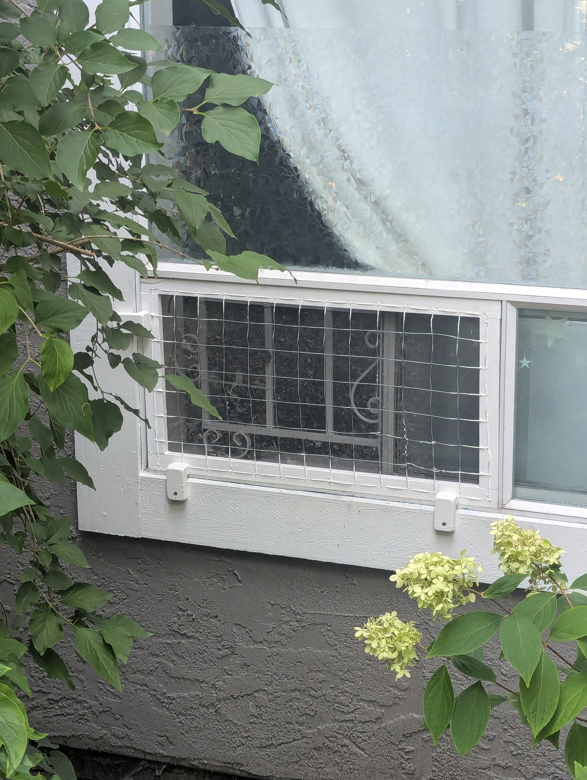 Now that Nelson and Seymour are on the scene, we had to subtly amend a window outside the catio to keep kittens contained. 