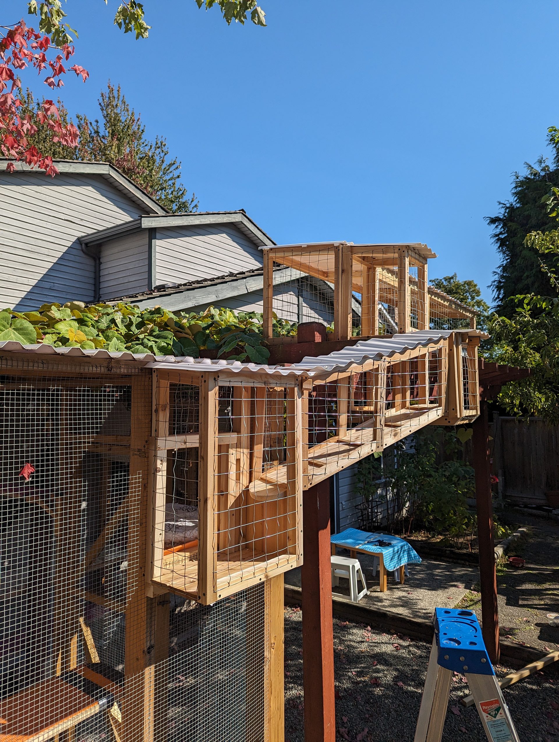 With the multiple levels, grapevine, and beautiful vistas, are we feeling Mediterranean yet?