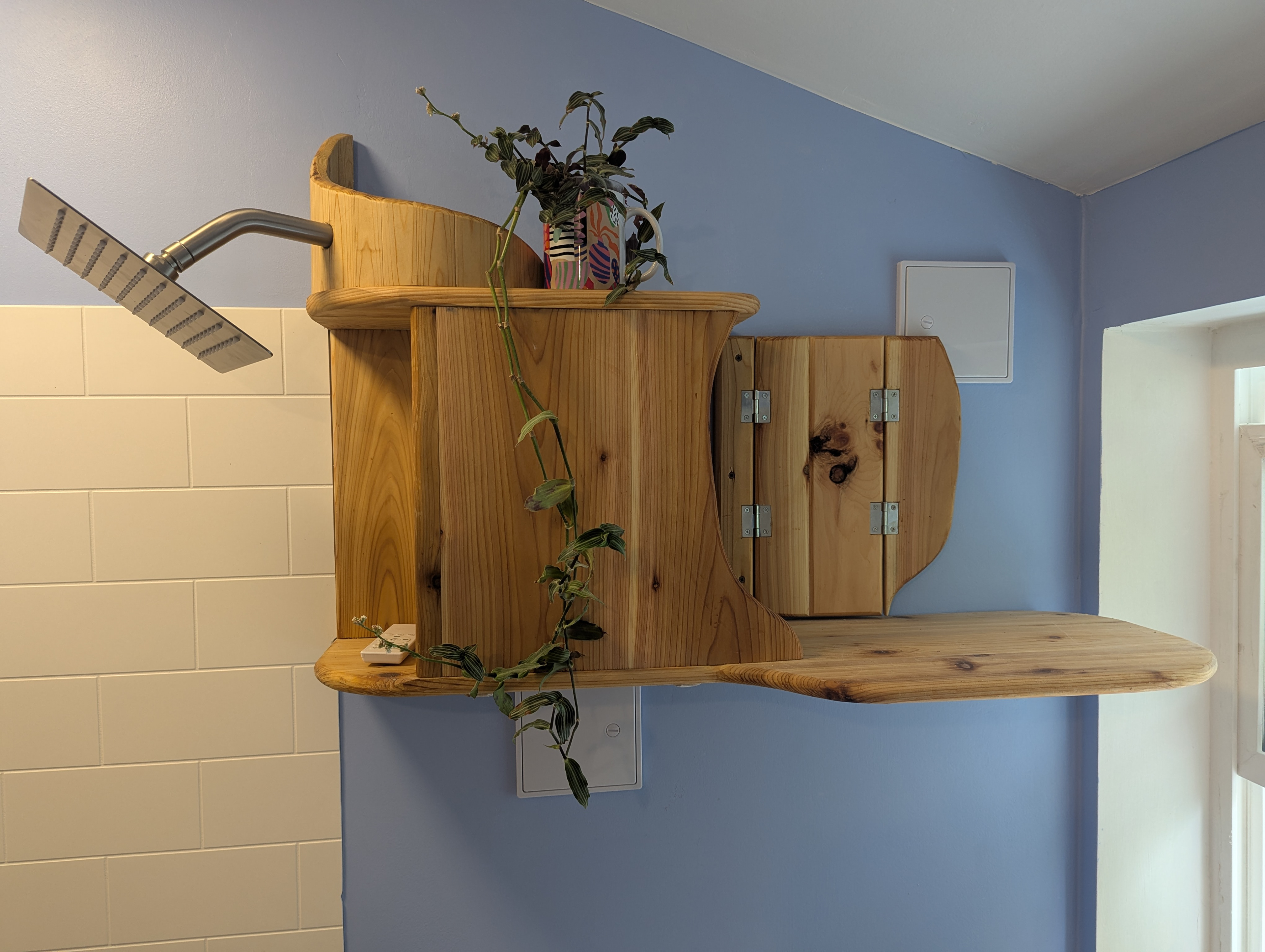 This contraption, complete with privacy blind and shower nozzle trompe l'oeil, is mostly for spoiled cats.