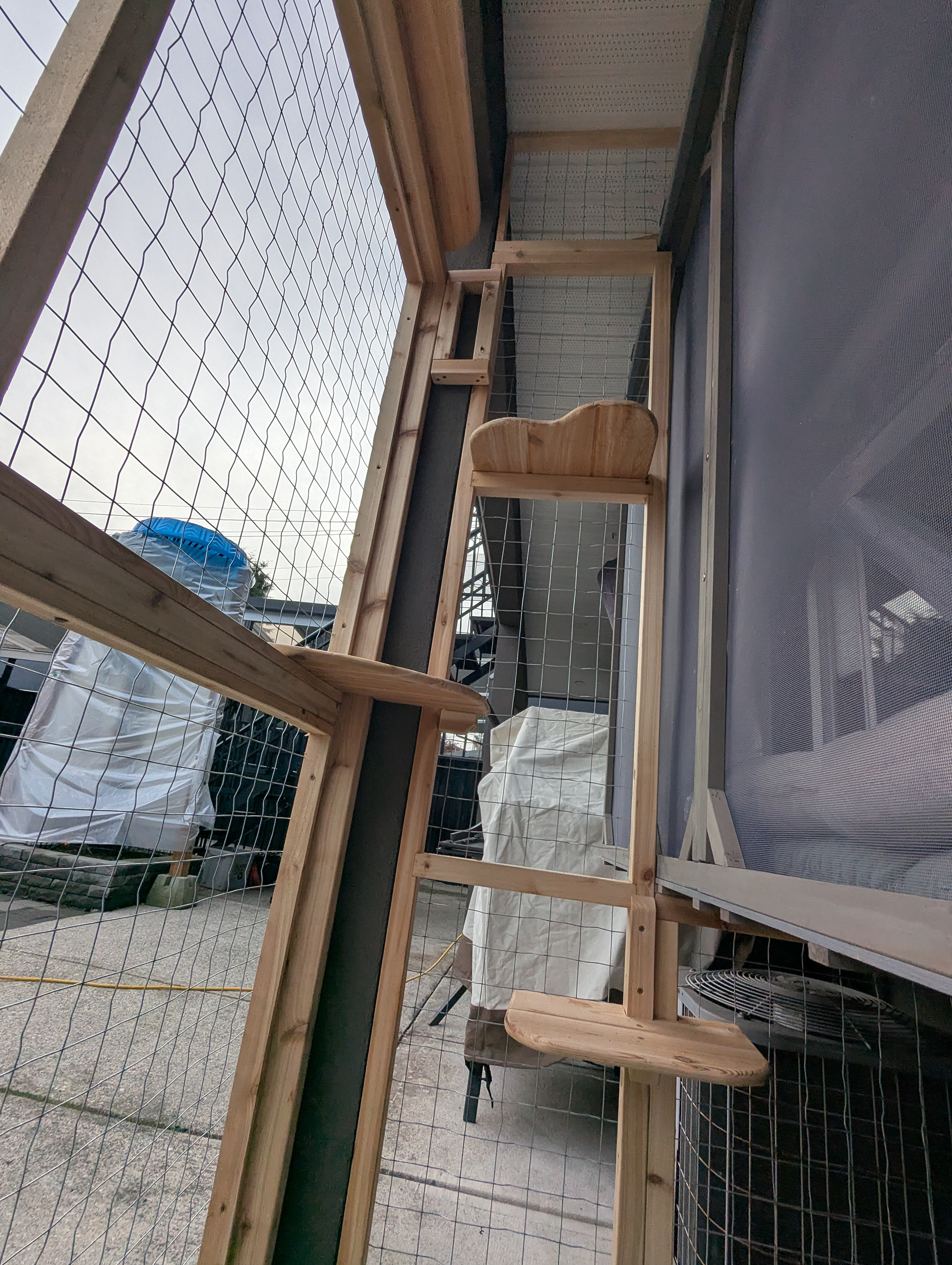 She was clearly going to keep climbing, so we decided to lean into it. 