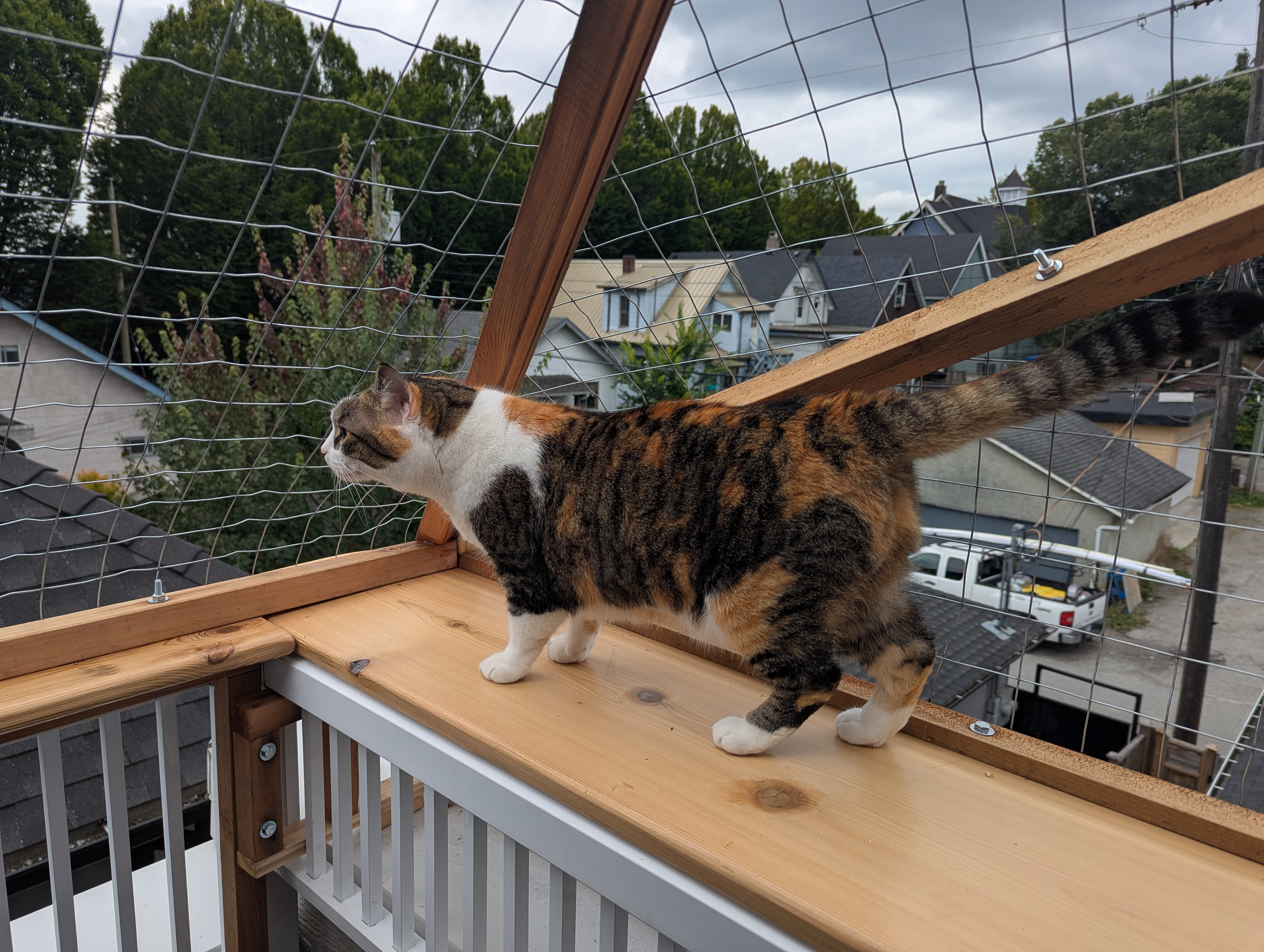 First inspection, all about the nose. 