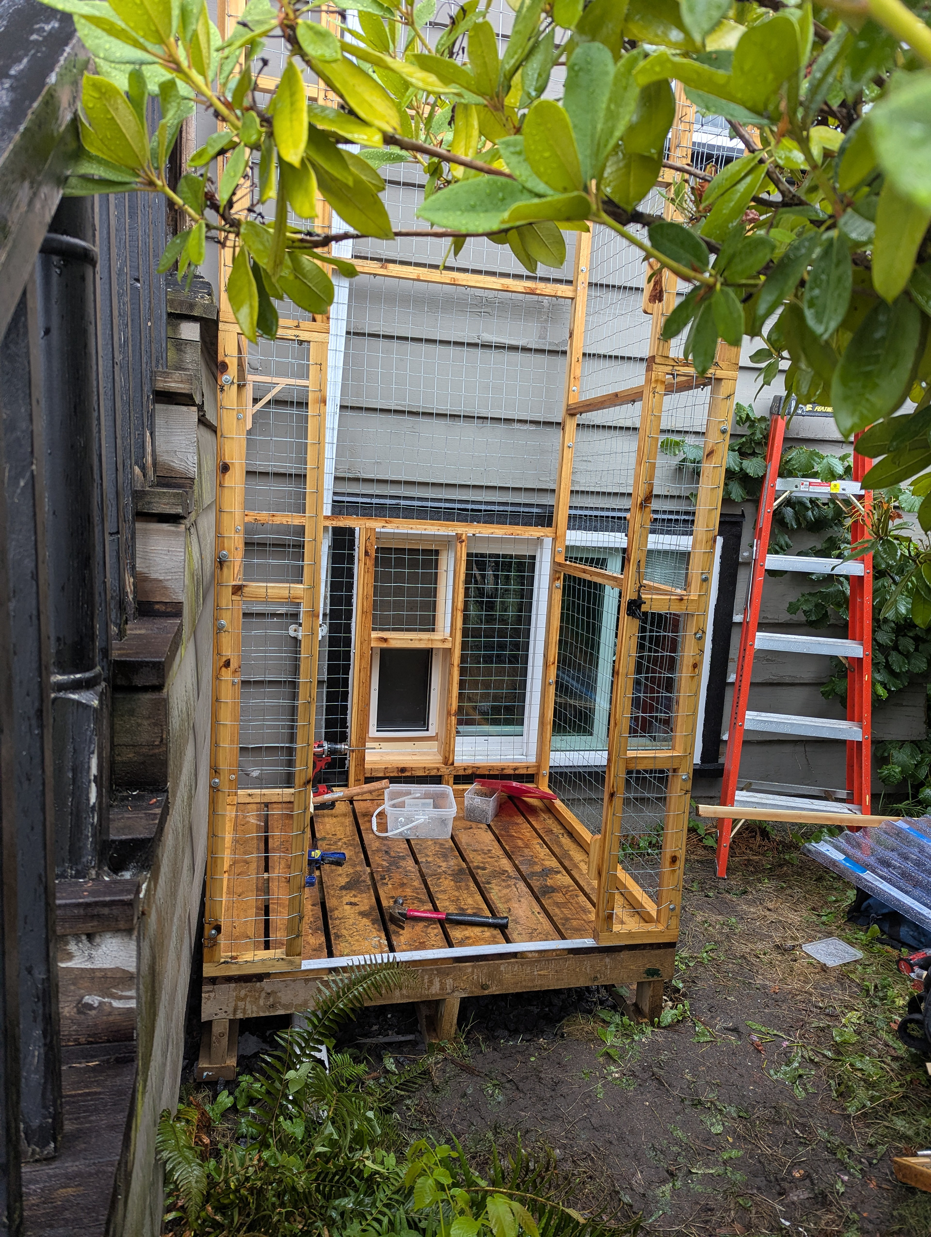 I liked this site, tucked away behind a rhododendron.