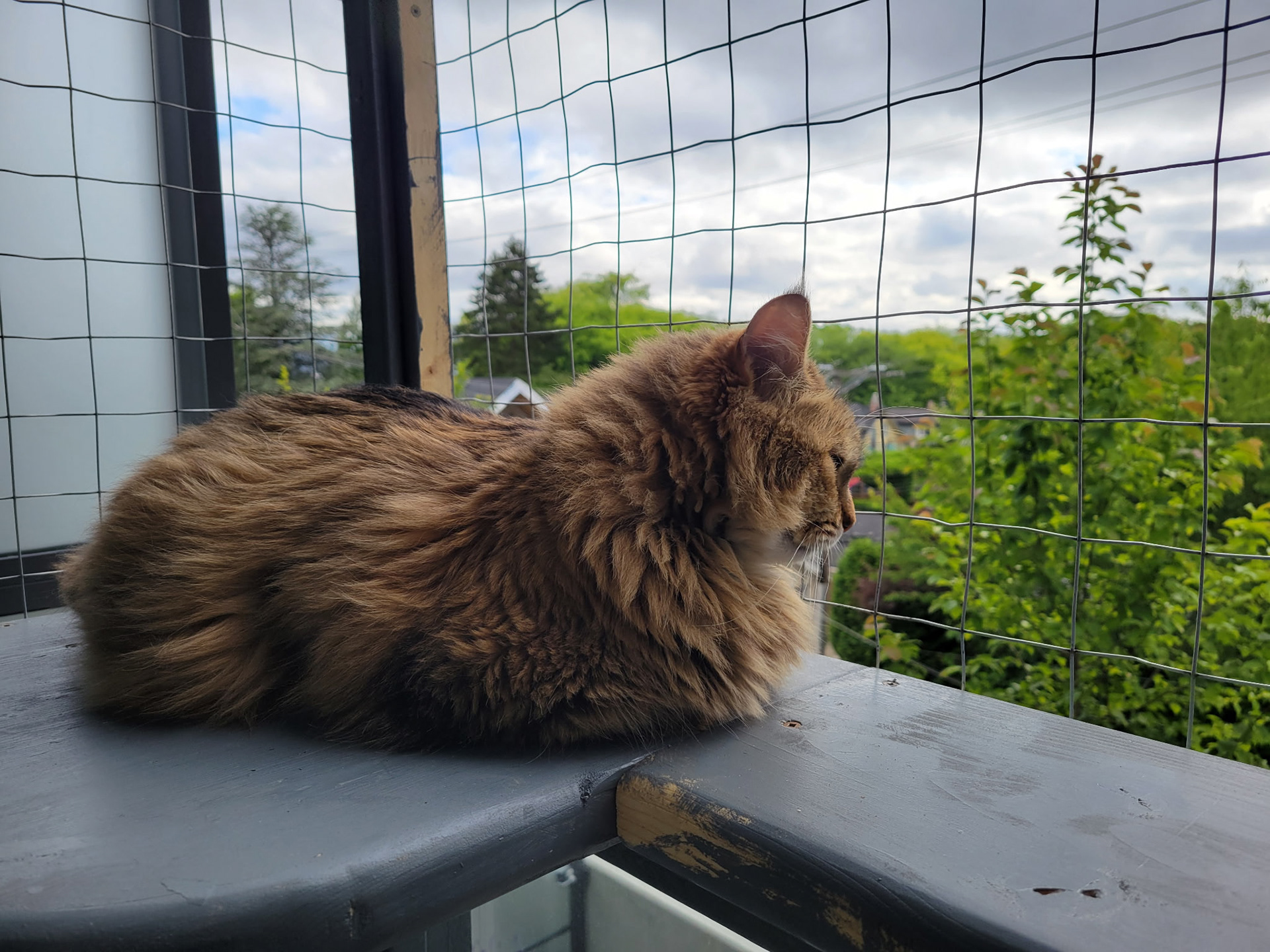 Peaceful contemplation.