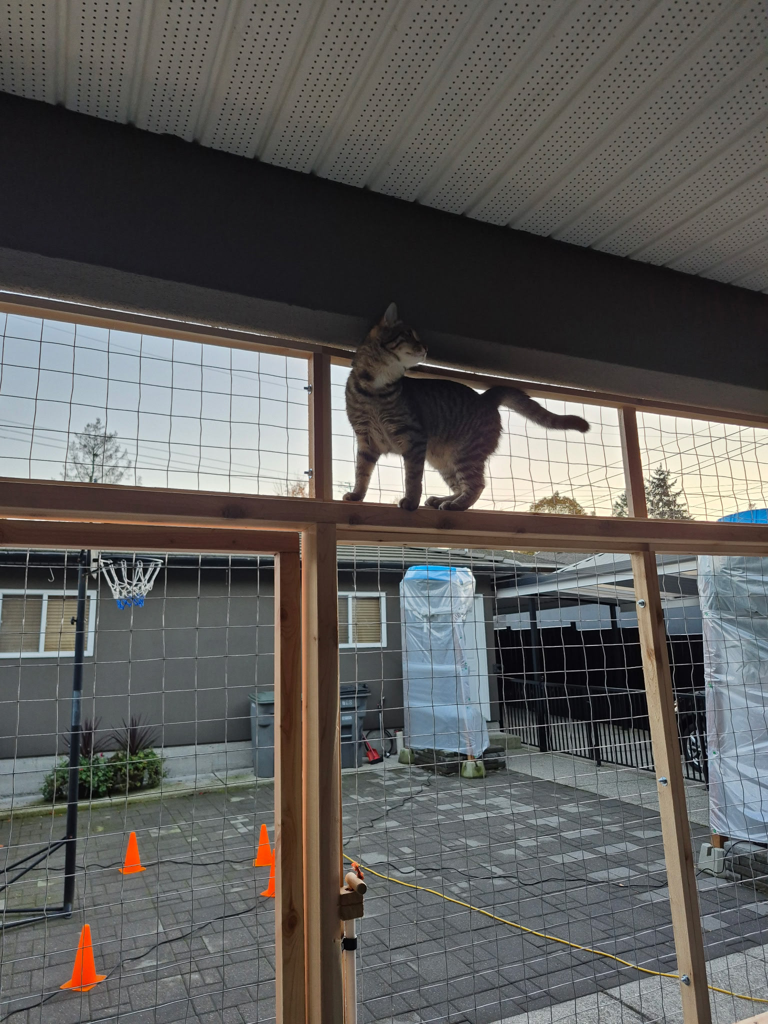 Mo' Pippa, mo' problems. 