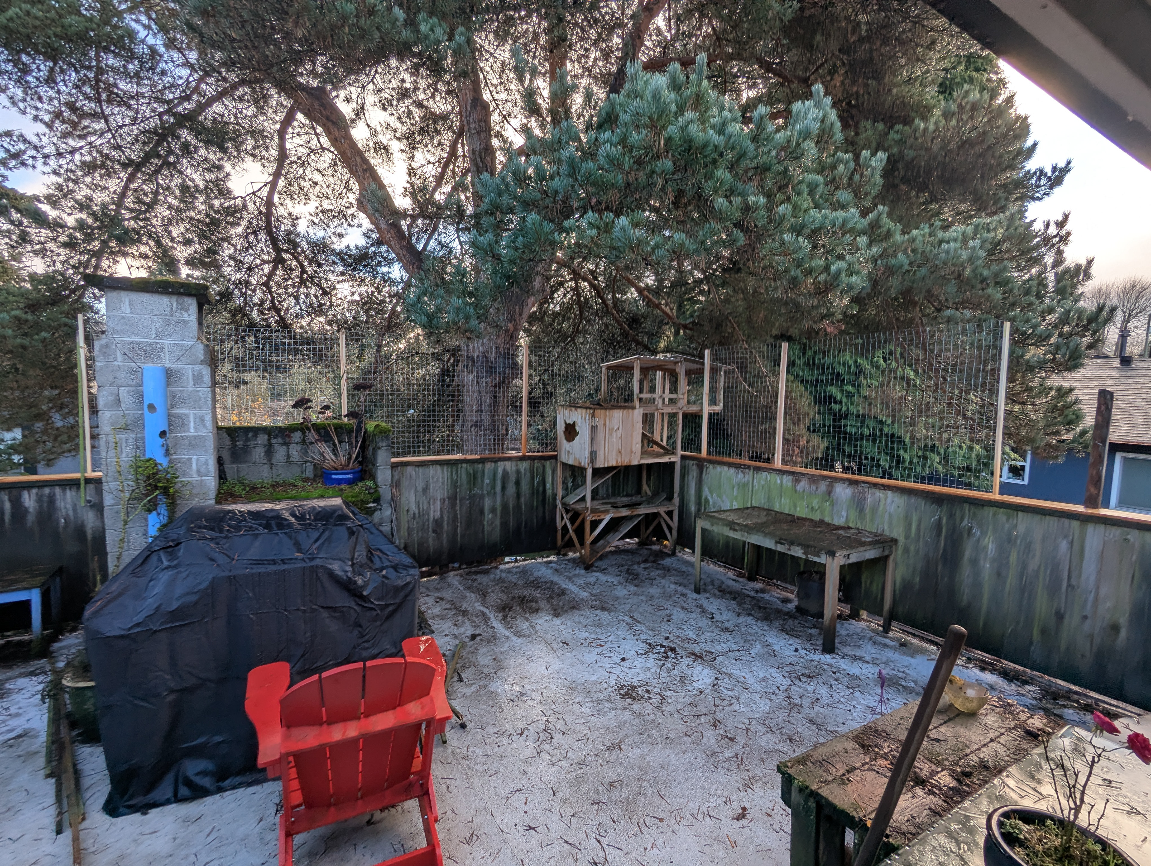 Catio builders have the most spoiled cats. 