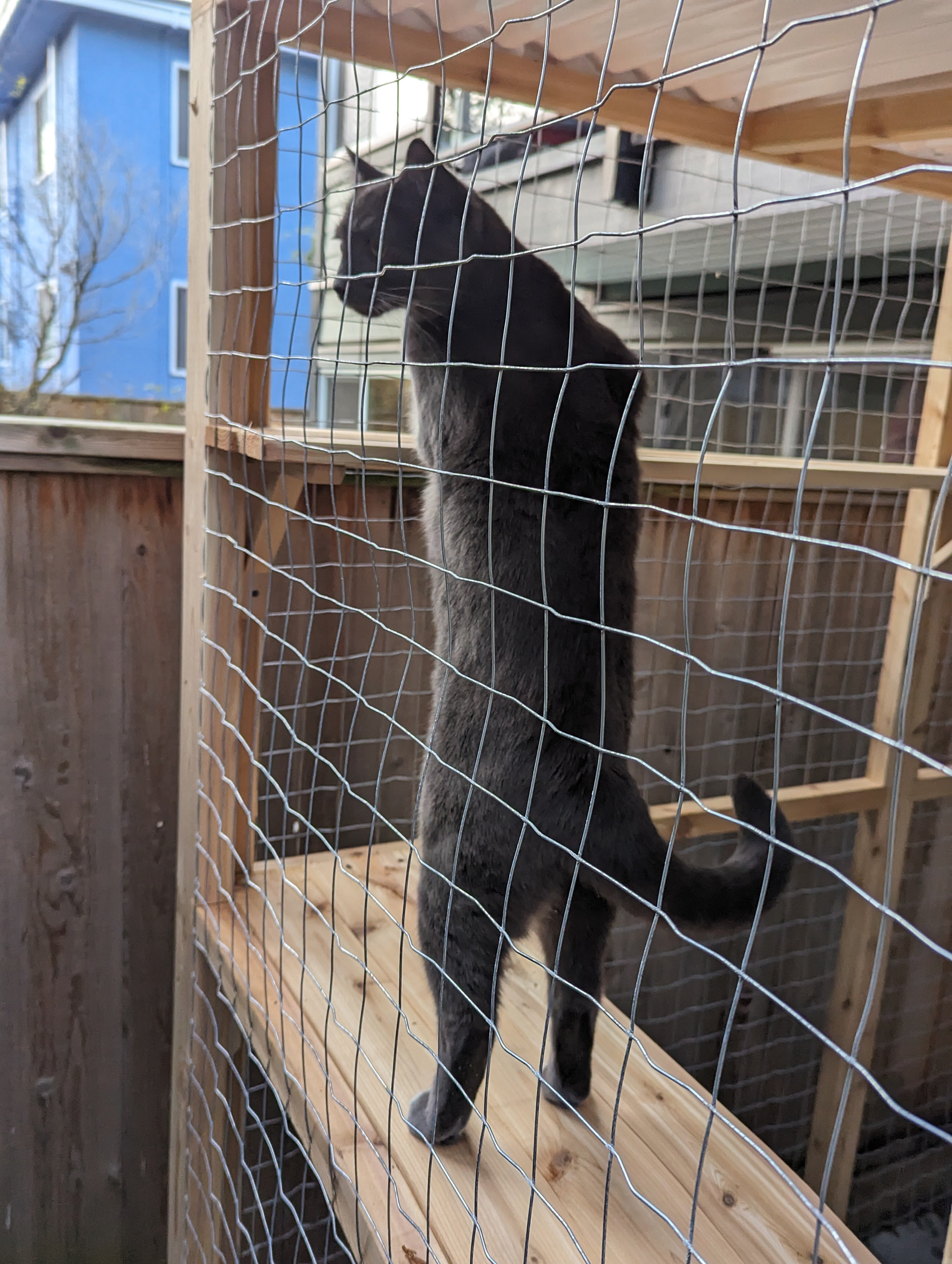 Time to have a look over the wall!