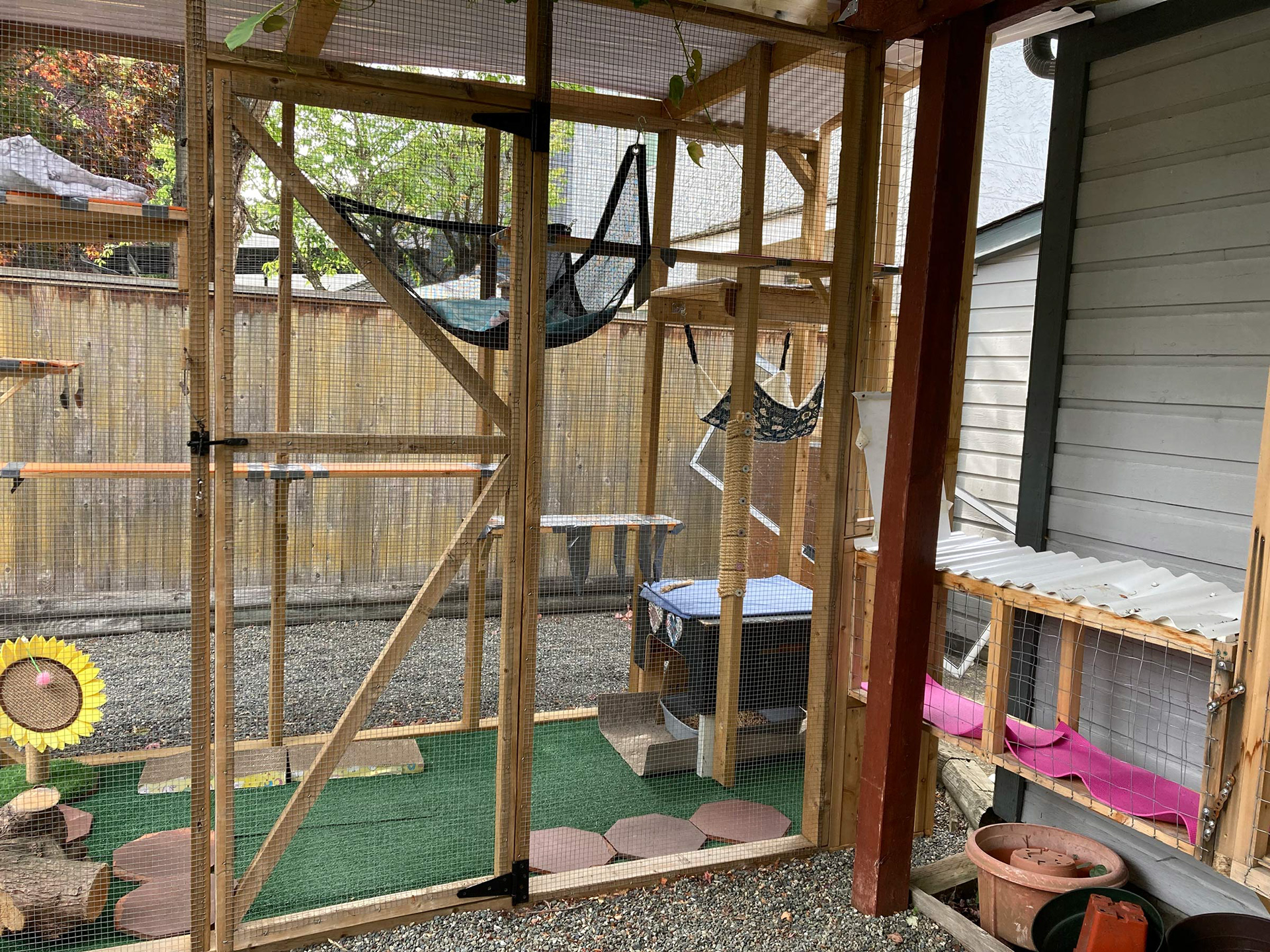 Almond and Peanut's human found a used catio online, and we connected it up to their existing setup.