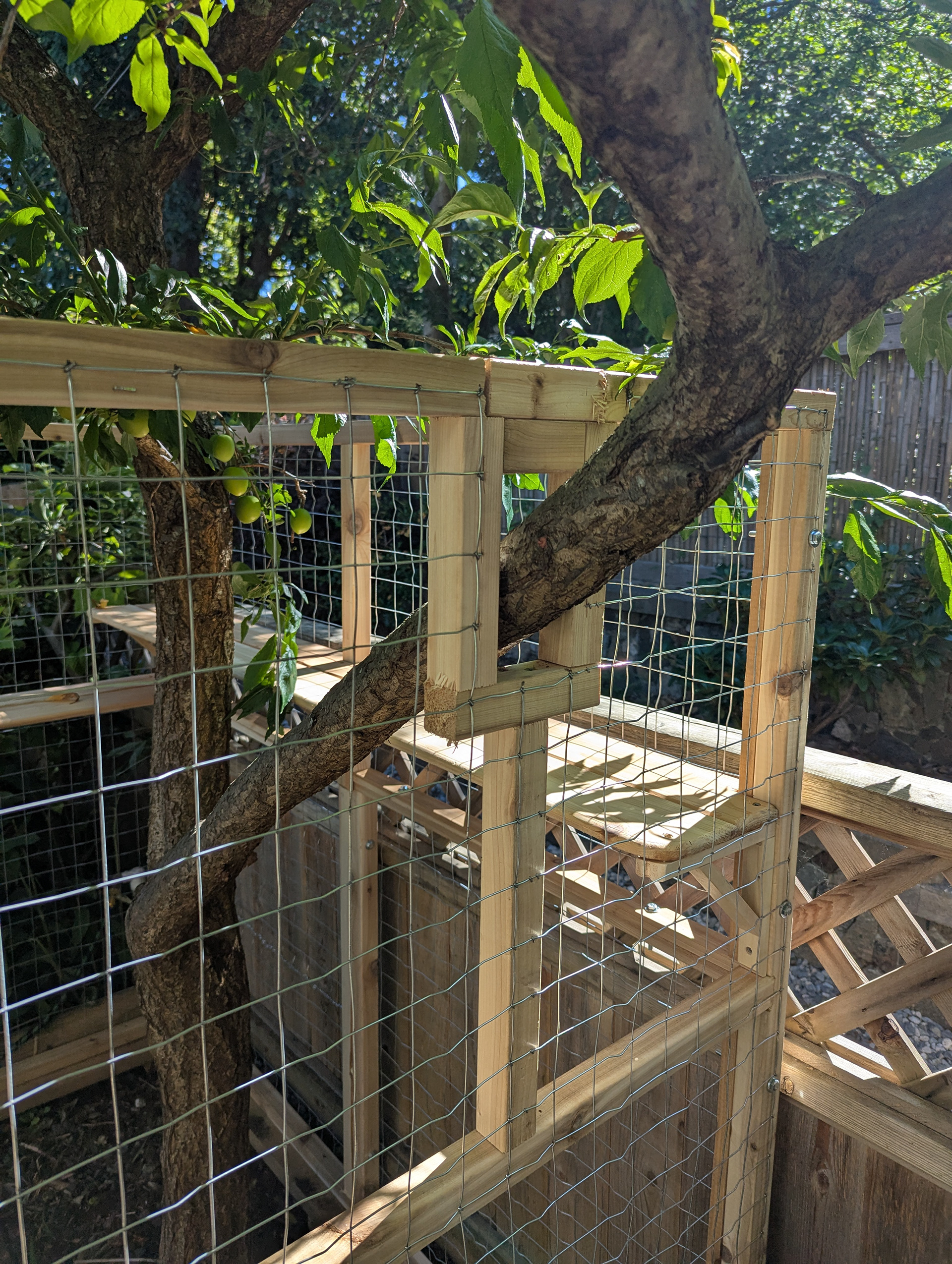 Trunk up the centre, but a branch out the side as well.