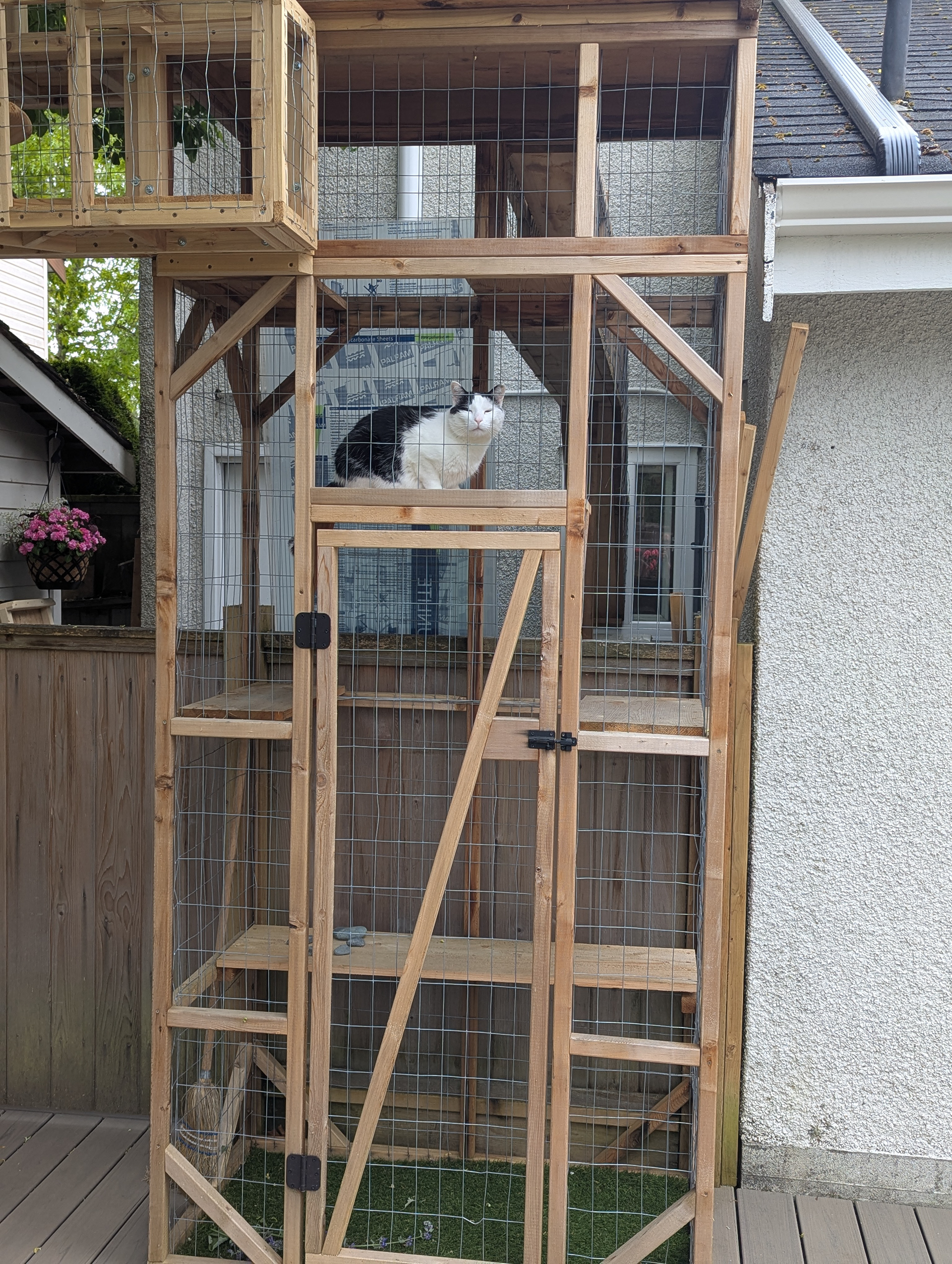 Paco already had a wonderful catio