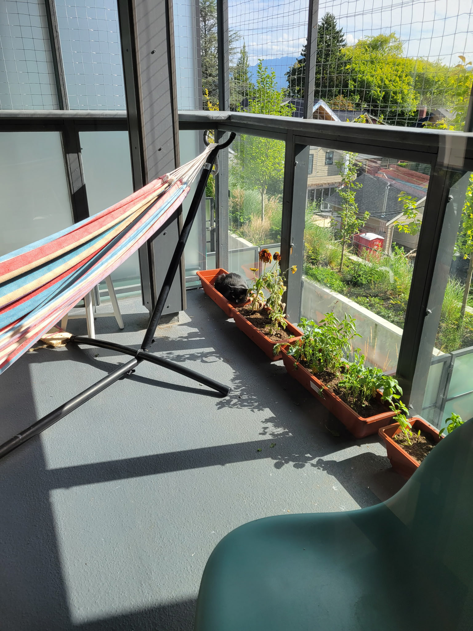 I love to see it when a catio becomes an improved space for people as well. 