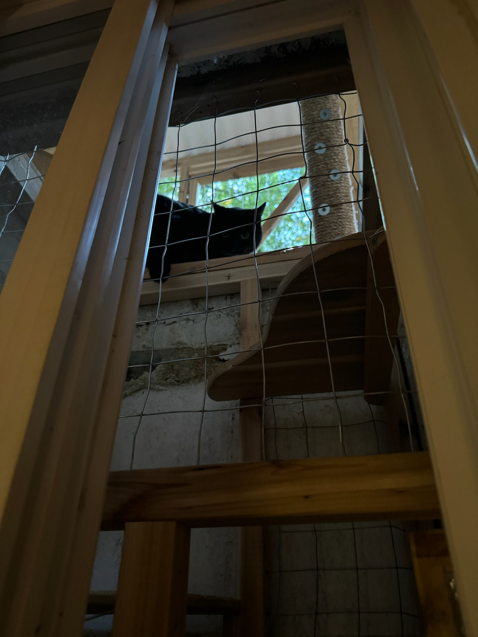 But it took longer for him to feel safe enough to go all the way to the top.