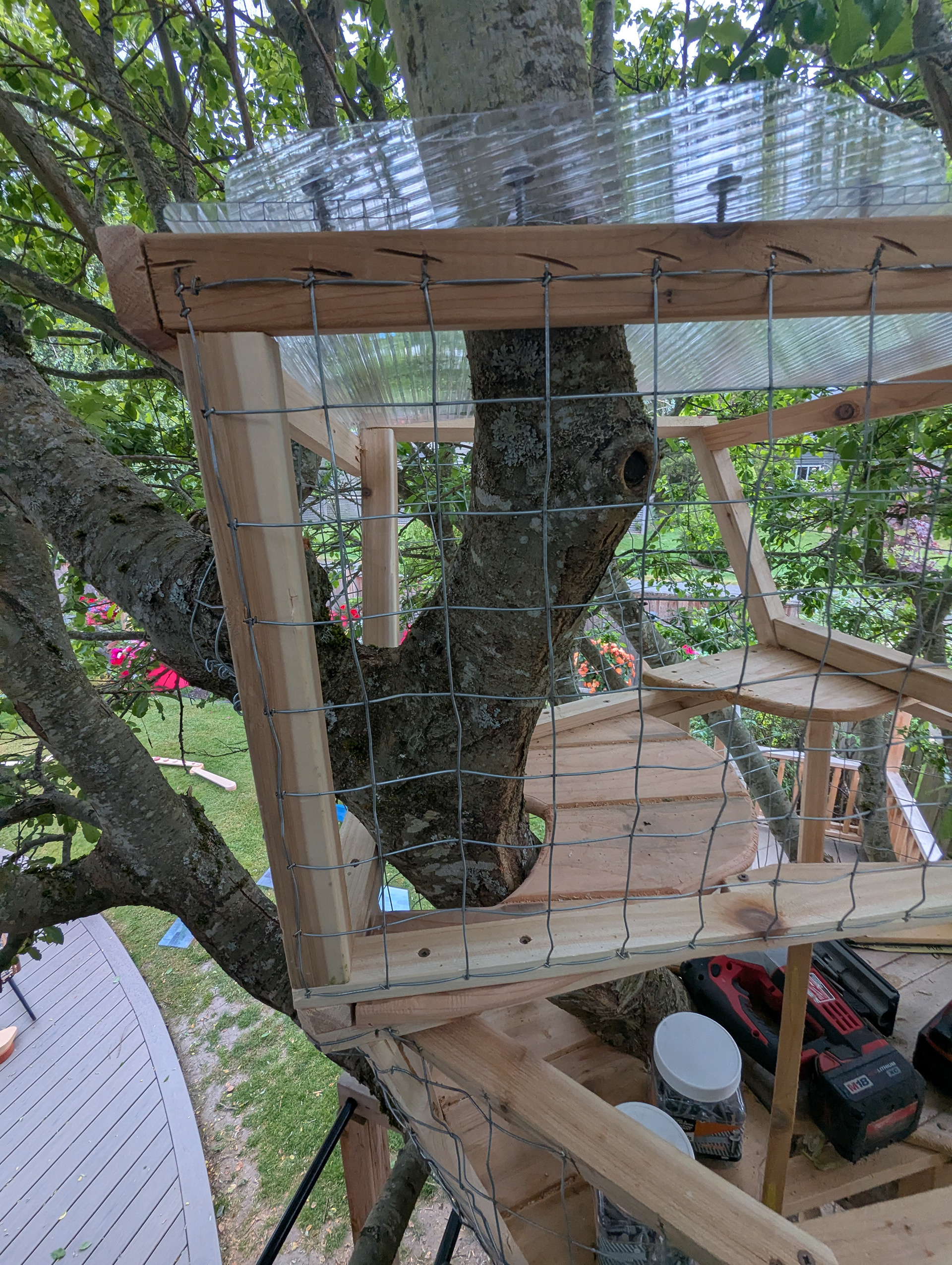 It's so much fun to involve natural elements in a catio!
