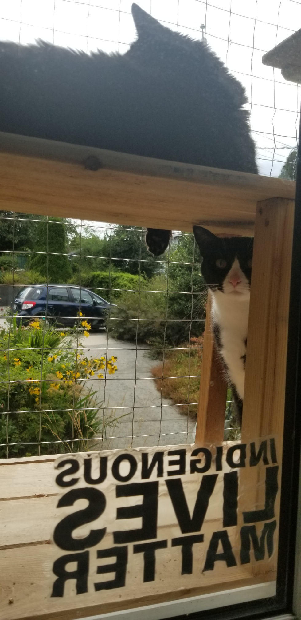 Nya and Ronnie share well.