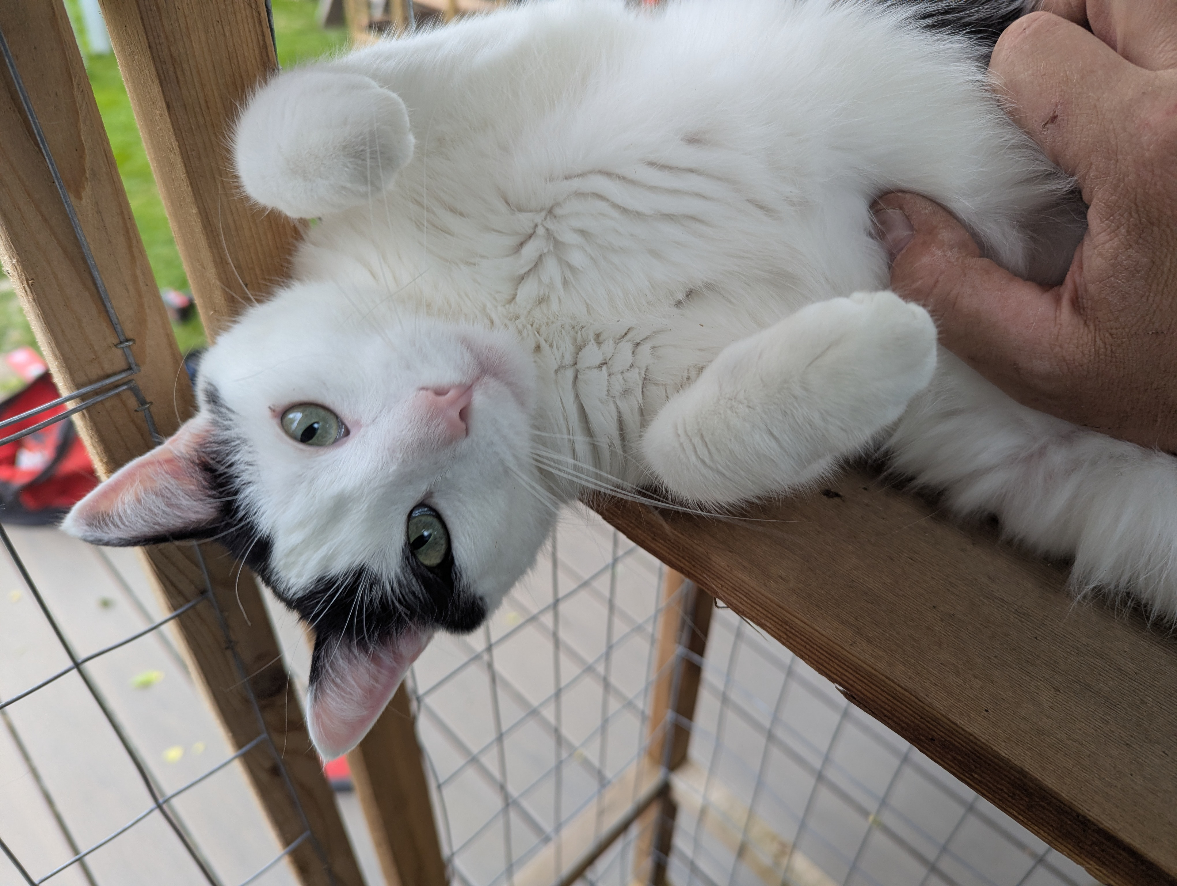 Paco is good about expressing appreciation.