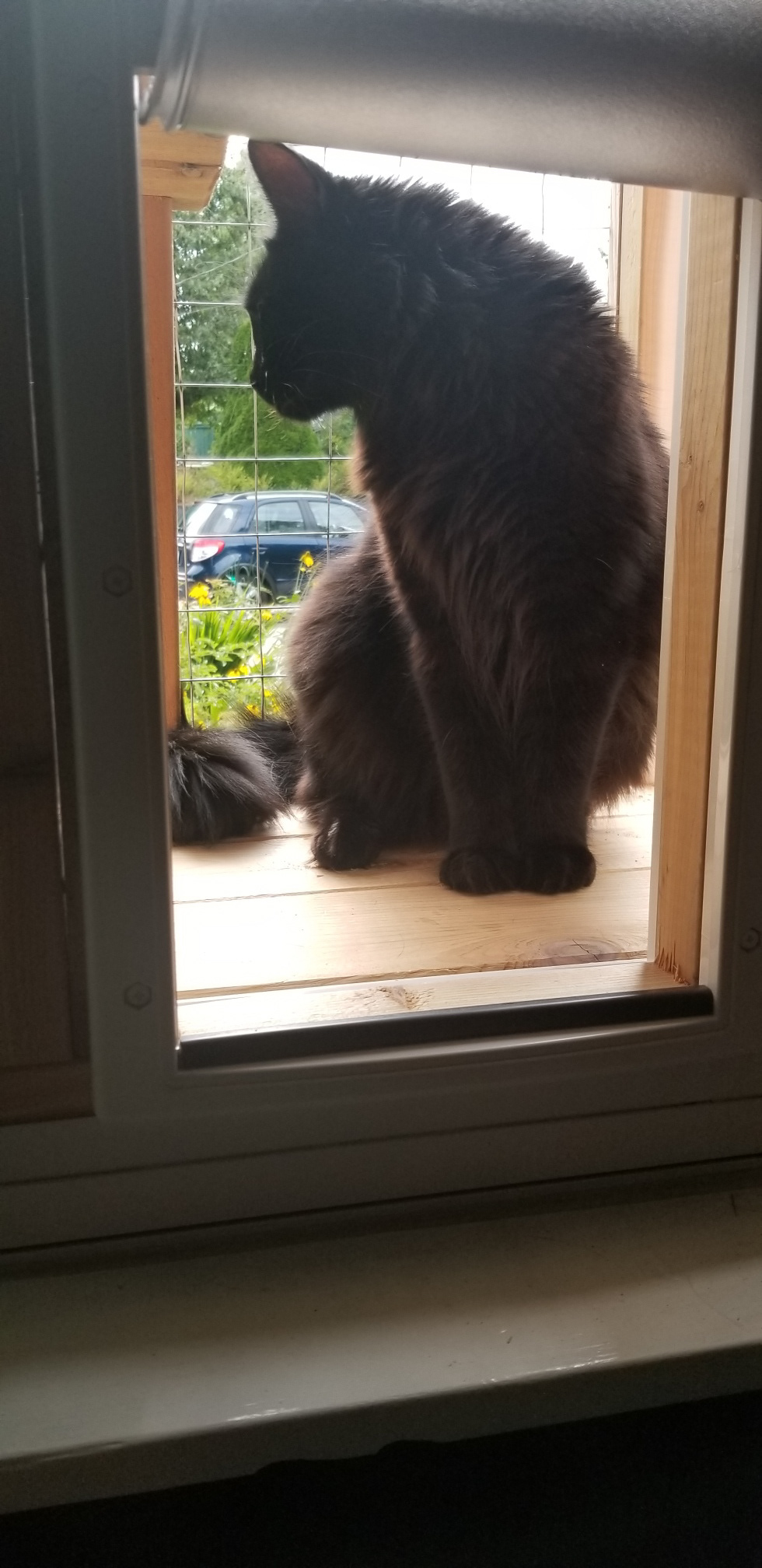 All spaces are Ronnie's, however.