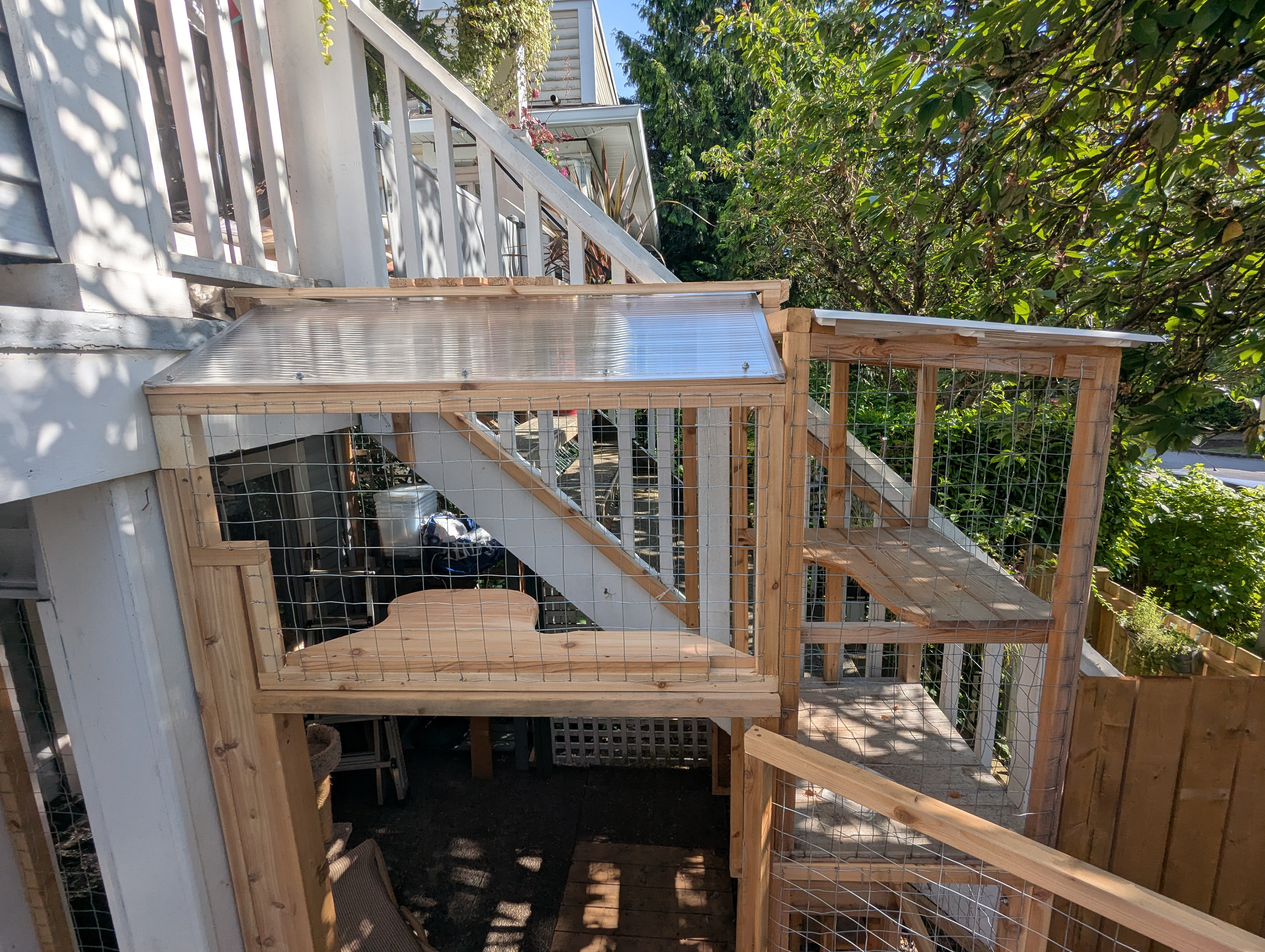 Definitely the tallest catio I've built.