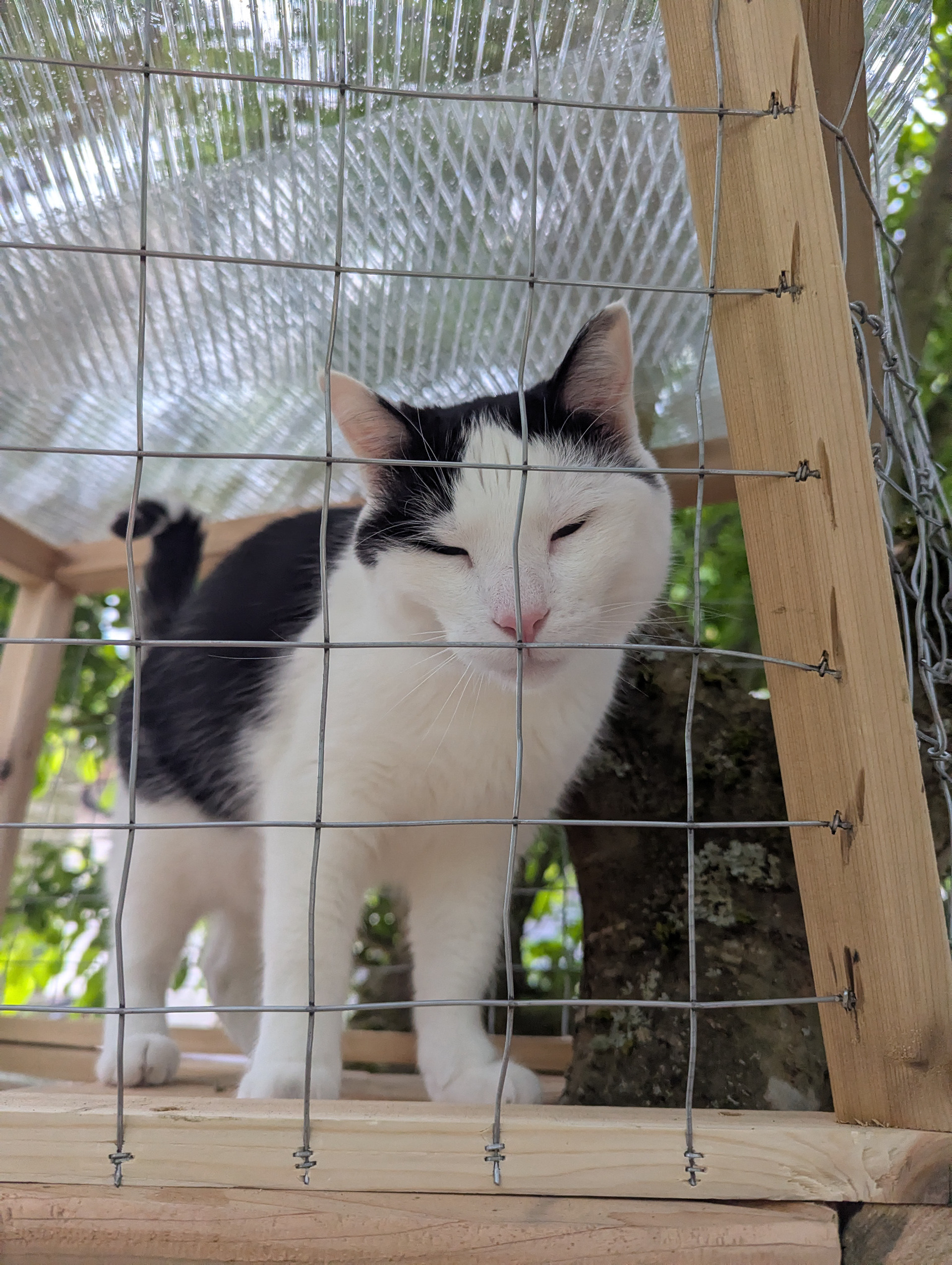 Oh Paco. You're so handsome!