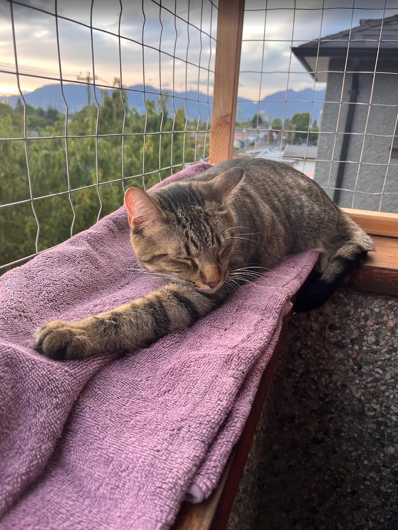 This may be my favourite photo ever sent to me by a client.