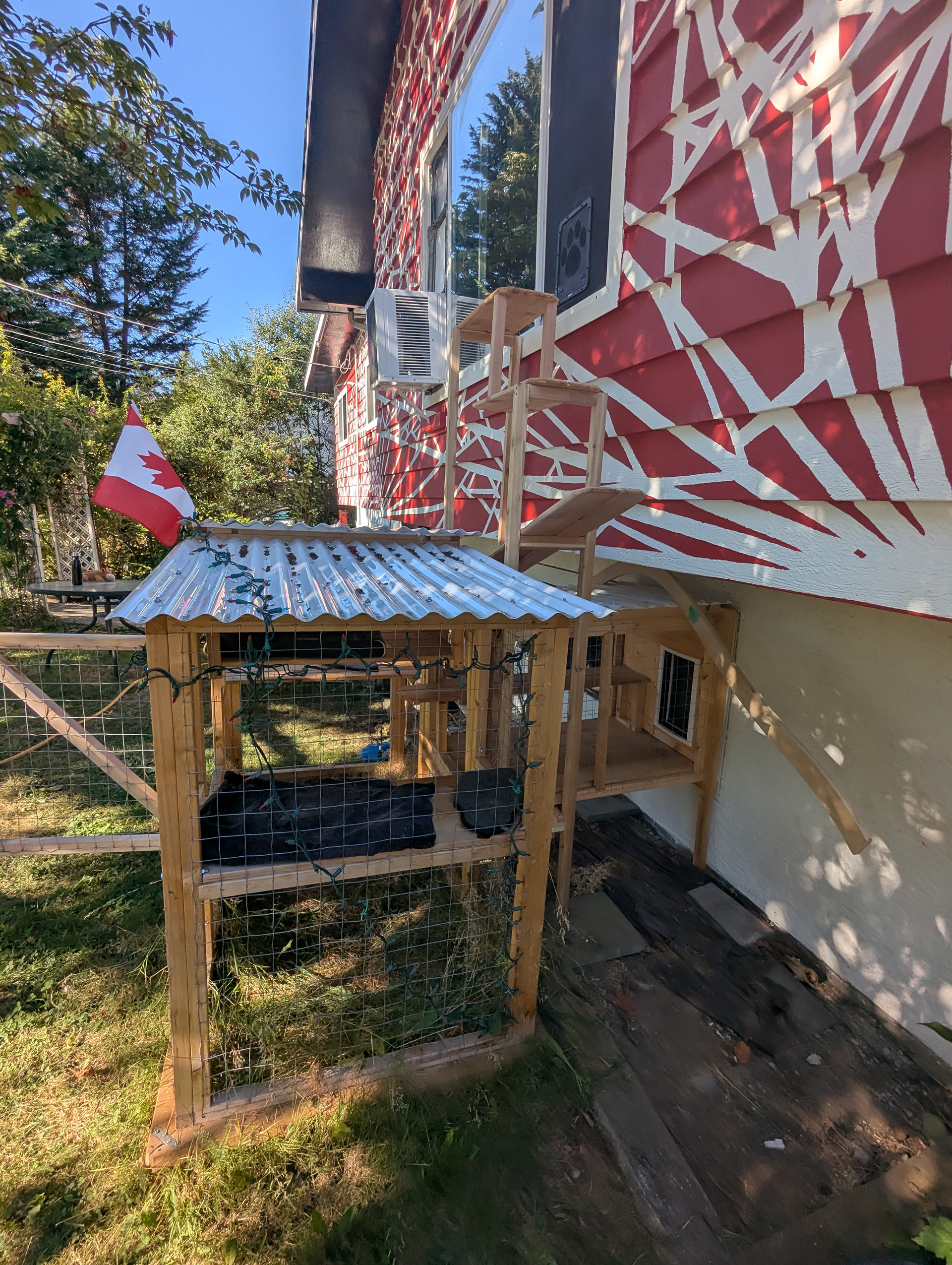 ...and protects the catio roof from them jumping down onto it. 